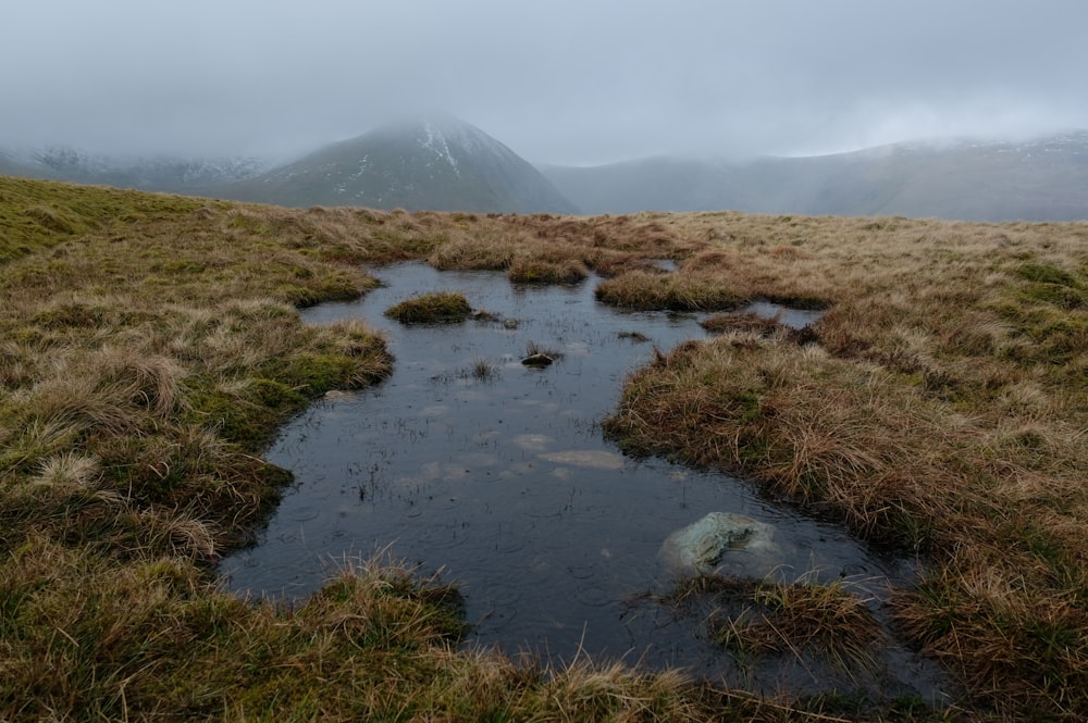 a small stream running through a grass covered field