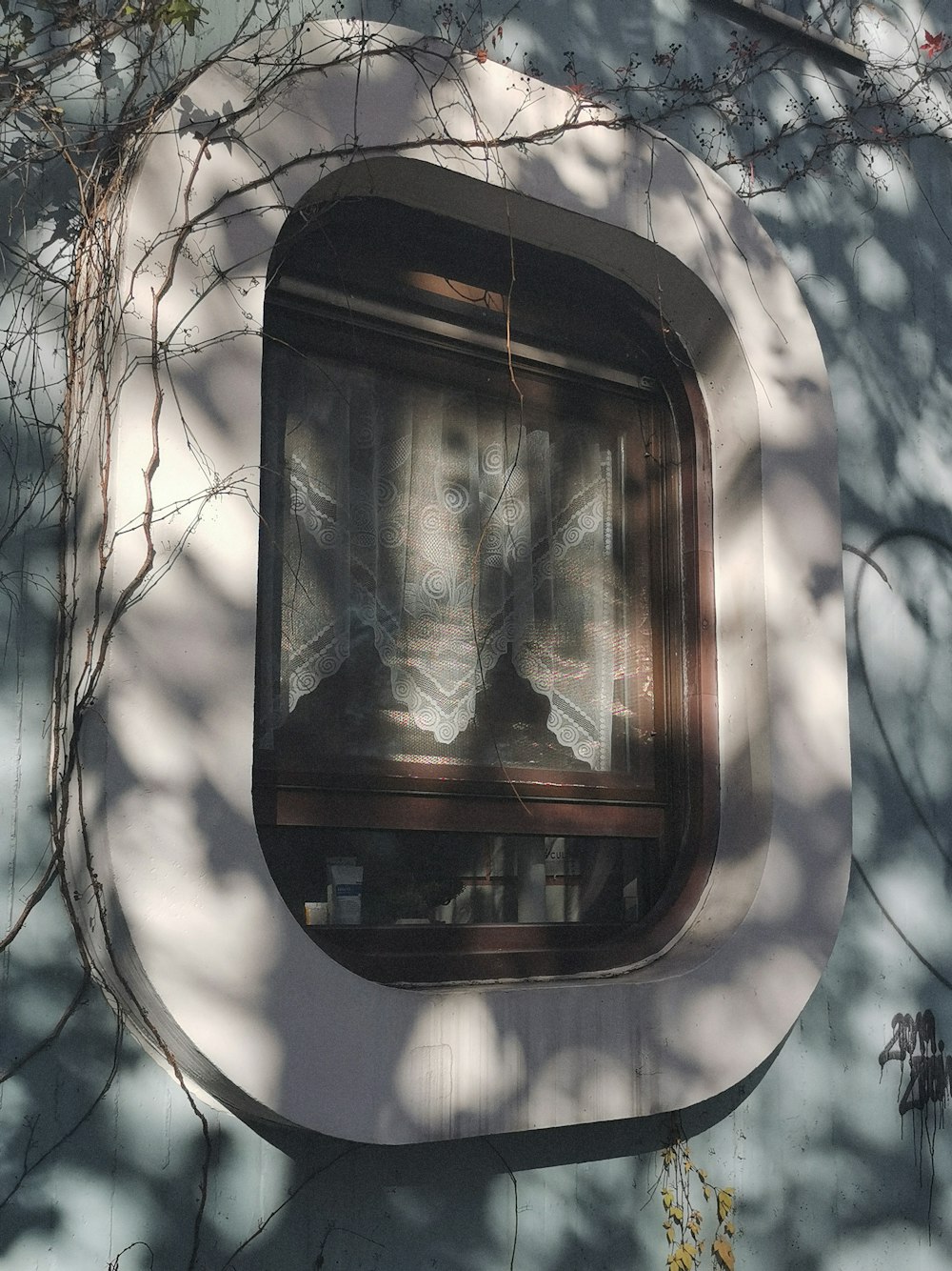 a window on a building with a tree in the background