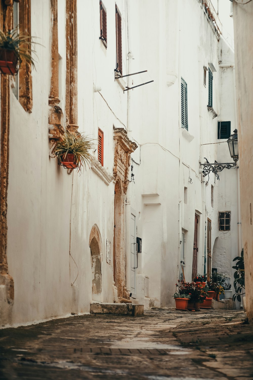 a narrow alleyway with potted plants and windows