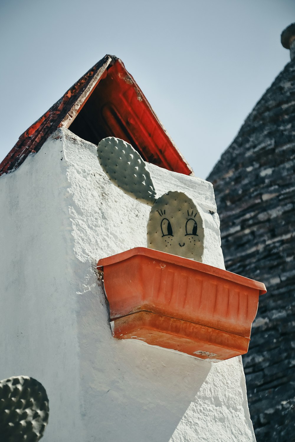 a potted cactus sitting on top of a white building