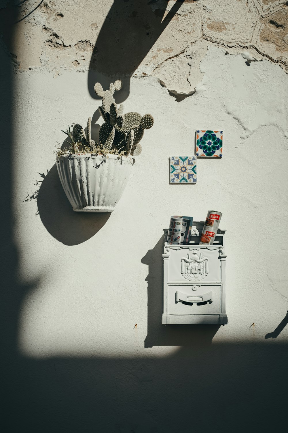 una planta en maceta sentada encima de una pared blanca