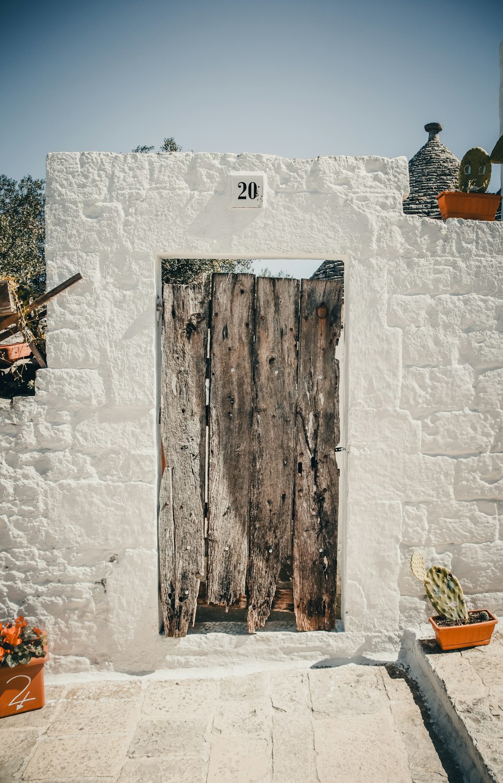a white building with a wooden door and potted plants