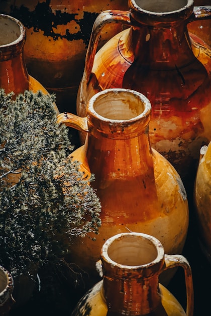 Shrubs selber machen trinkessige mit fruechten: detailed close-up view