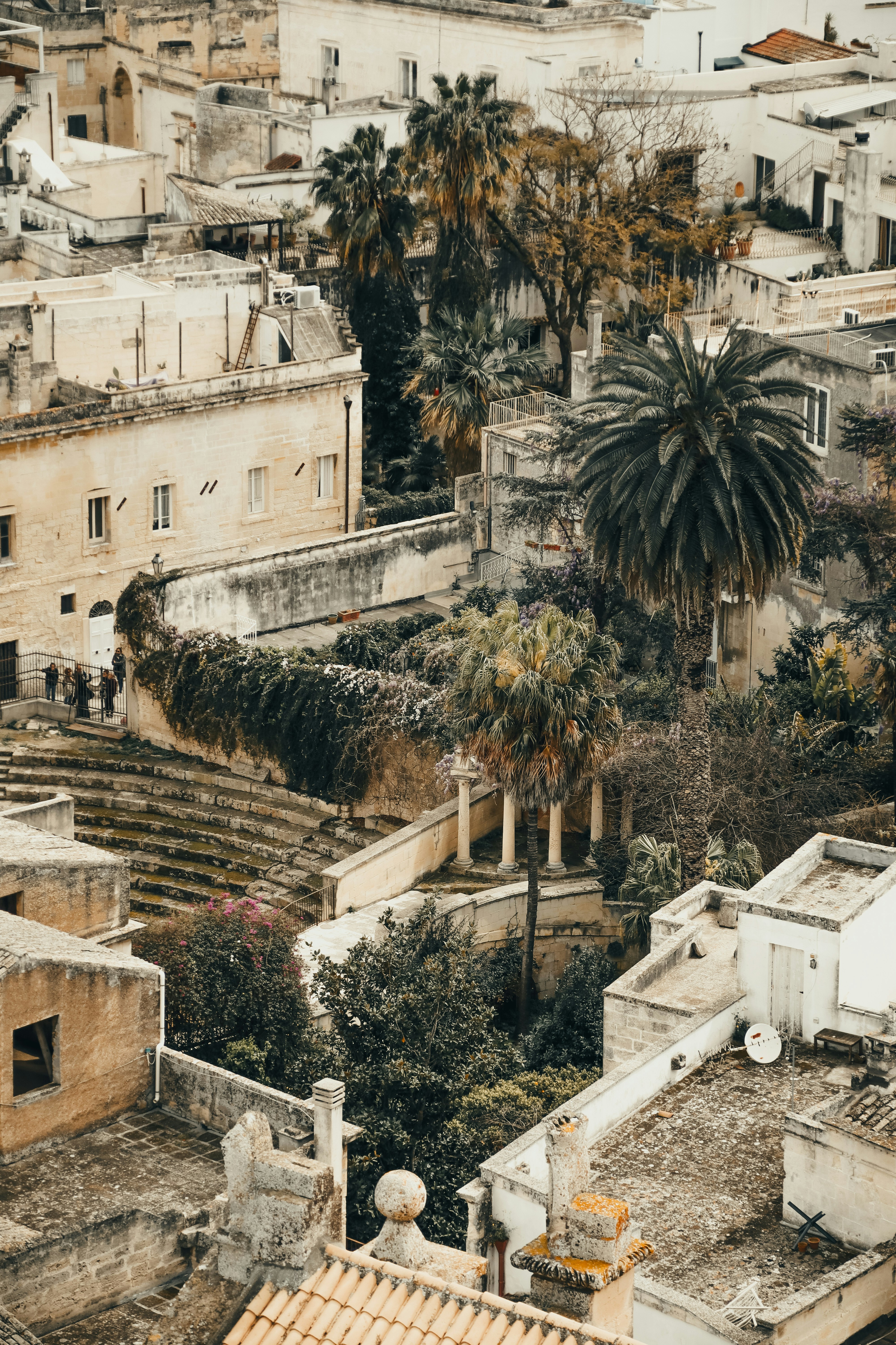 An aerial view of a city with palm trees photo – Free Grey Image on ...