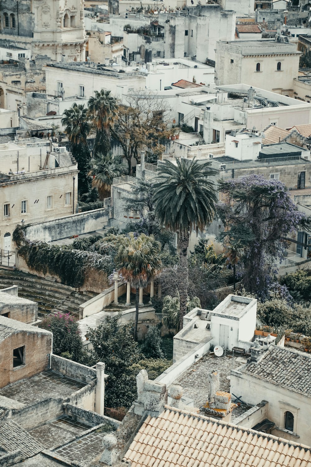 an aerial view of a city with palm trees