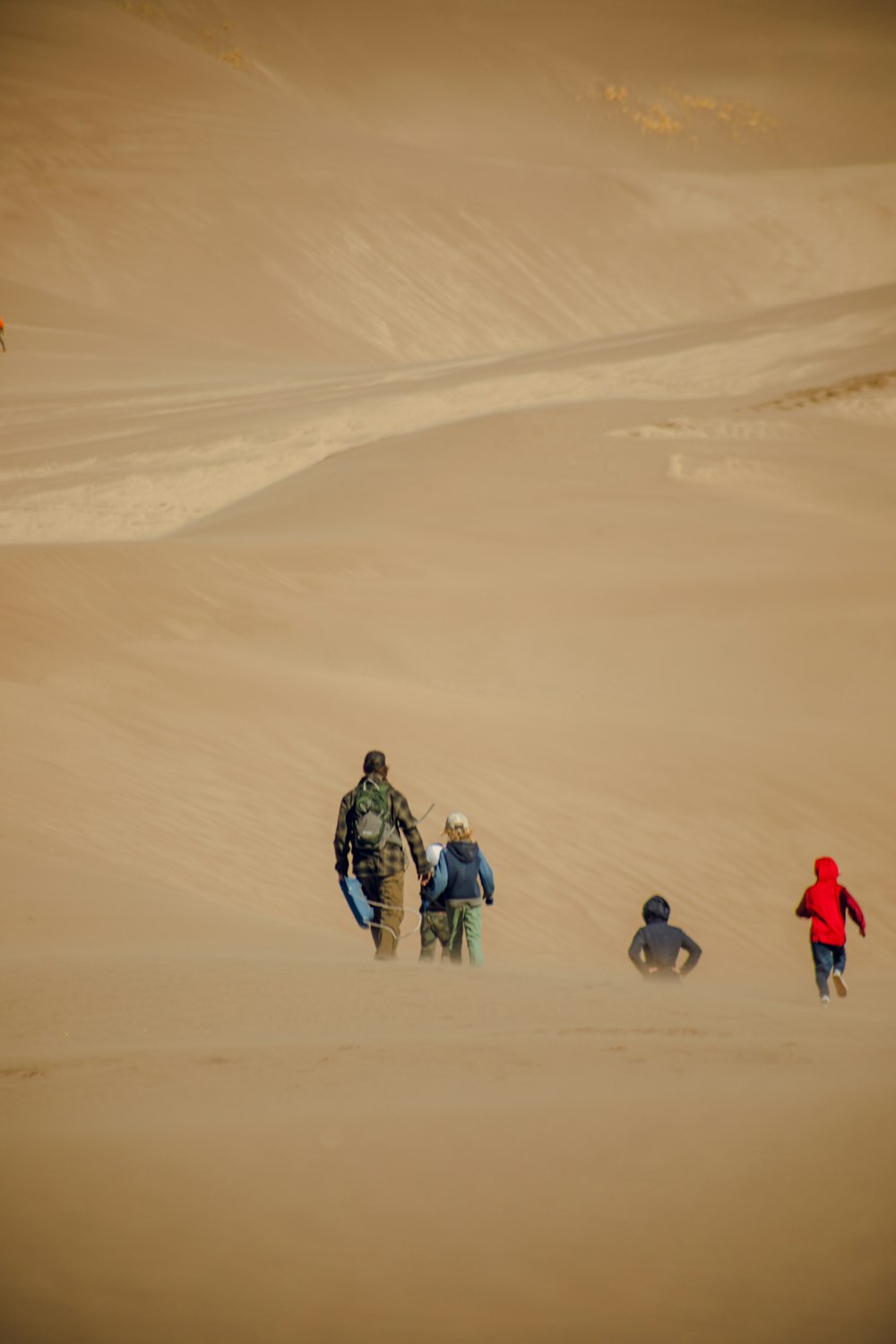 a group of people walking across a sandy field