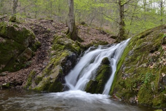 a small waterfall in the middle of a forest