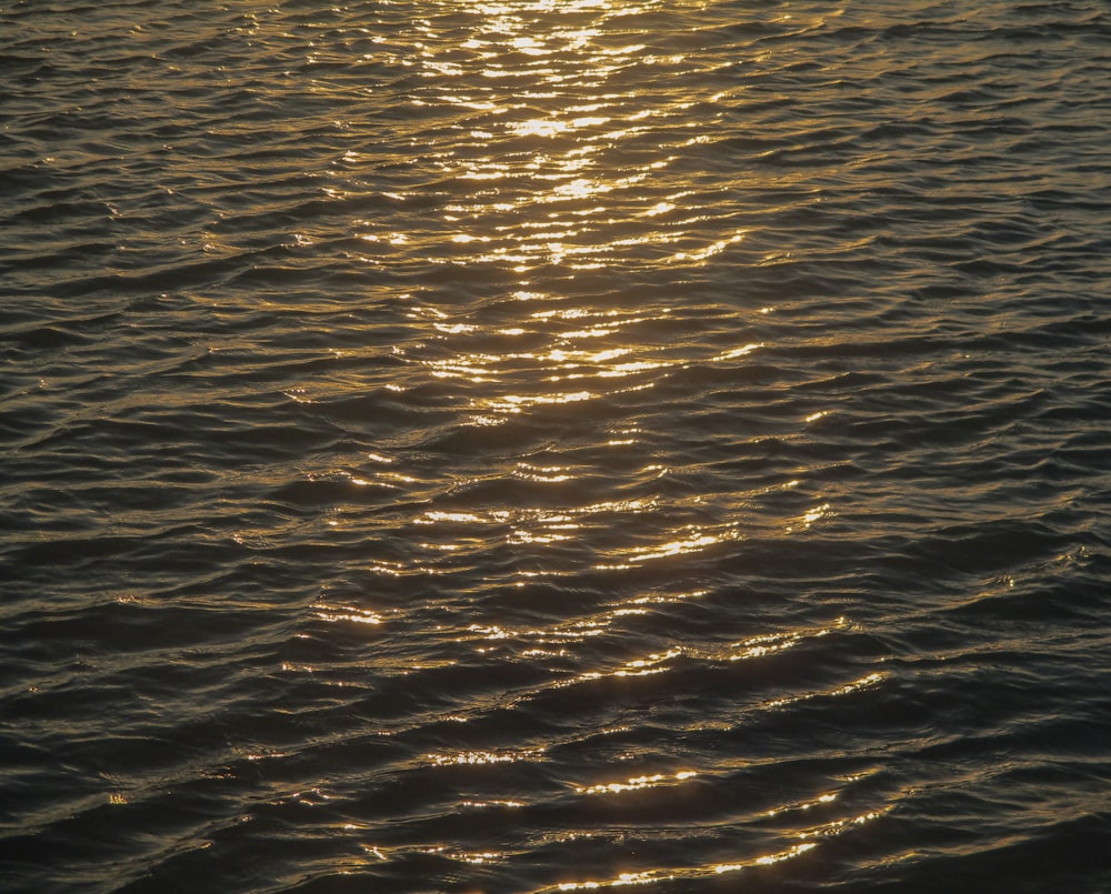 a large body of water with a boat in the distance