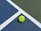 a tennis ball sitting on a tennis court