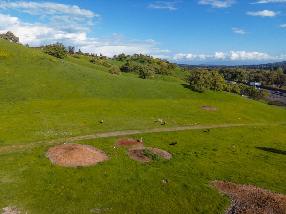 an aerial view of a lush green hillside