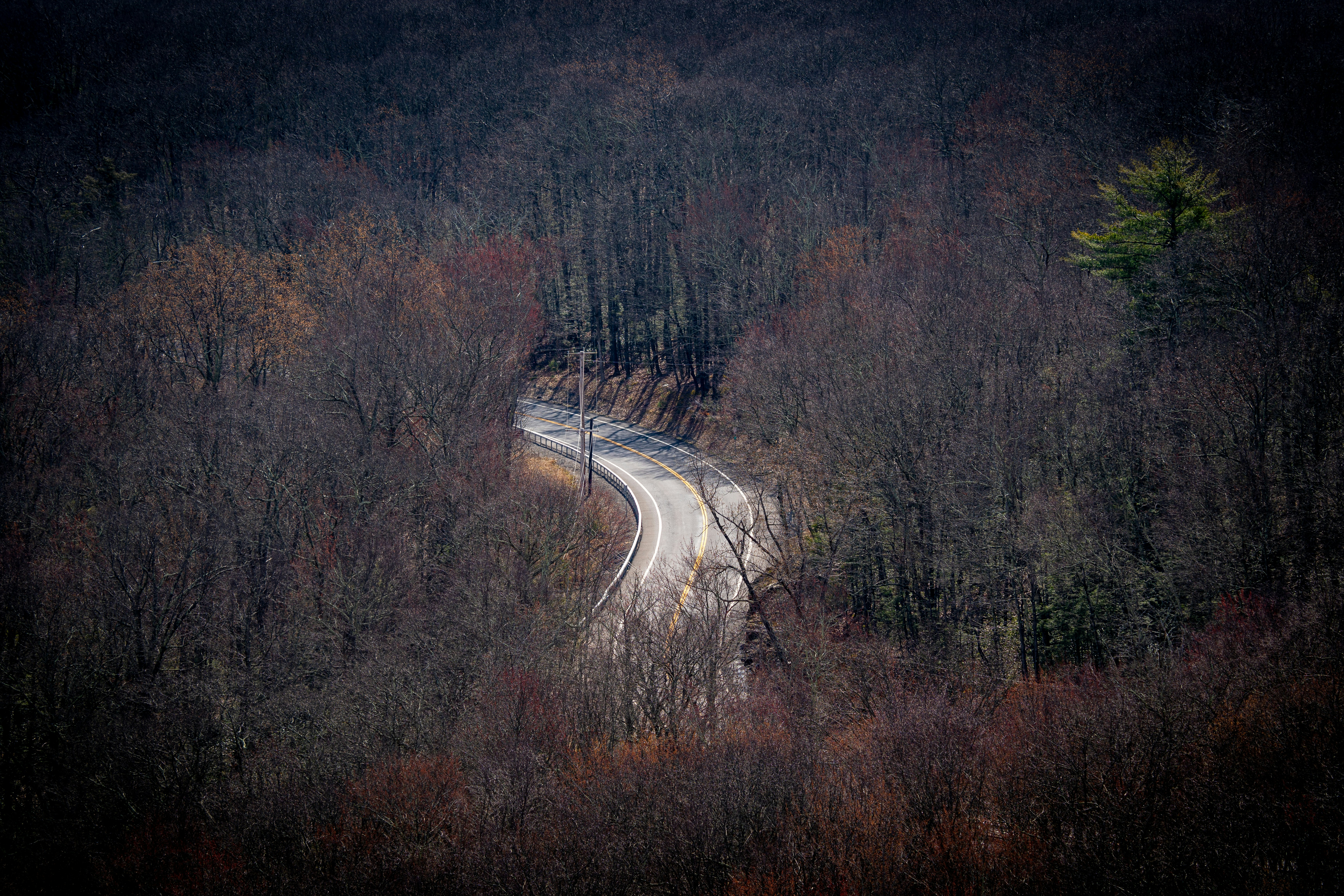 a winding road in the middle of a wooded area