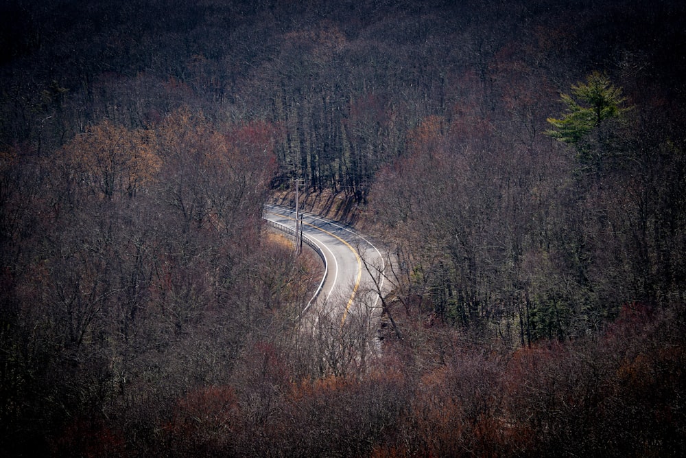 a winding road in the middle of a wooded area