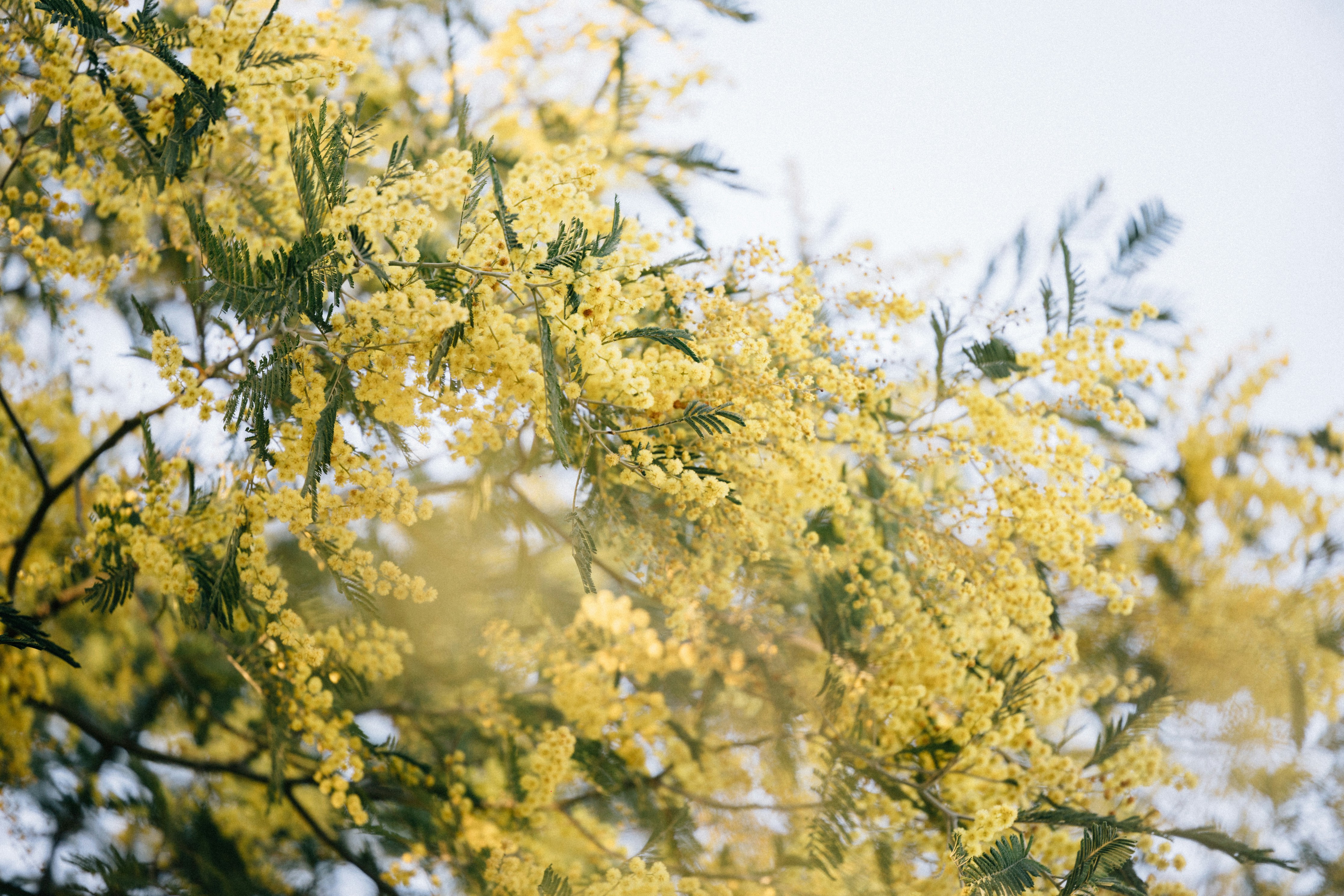 Photo by tsuyoshikozu