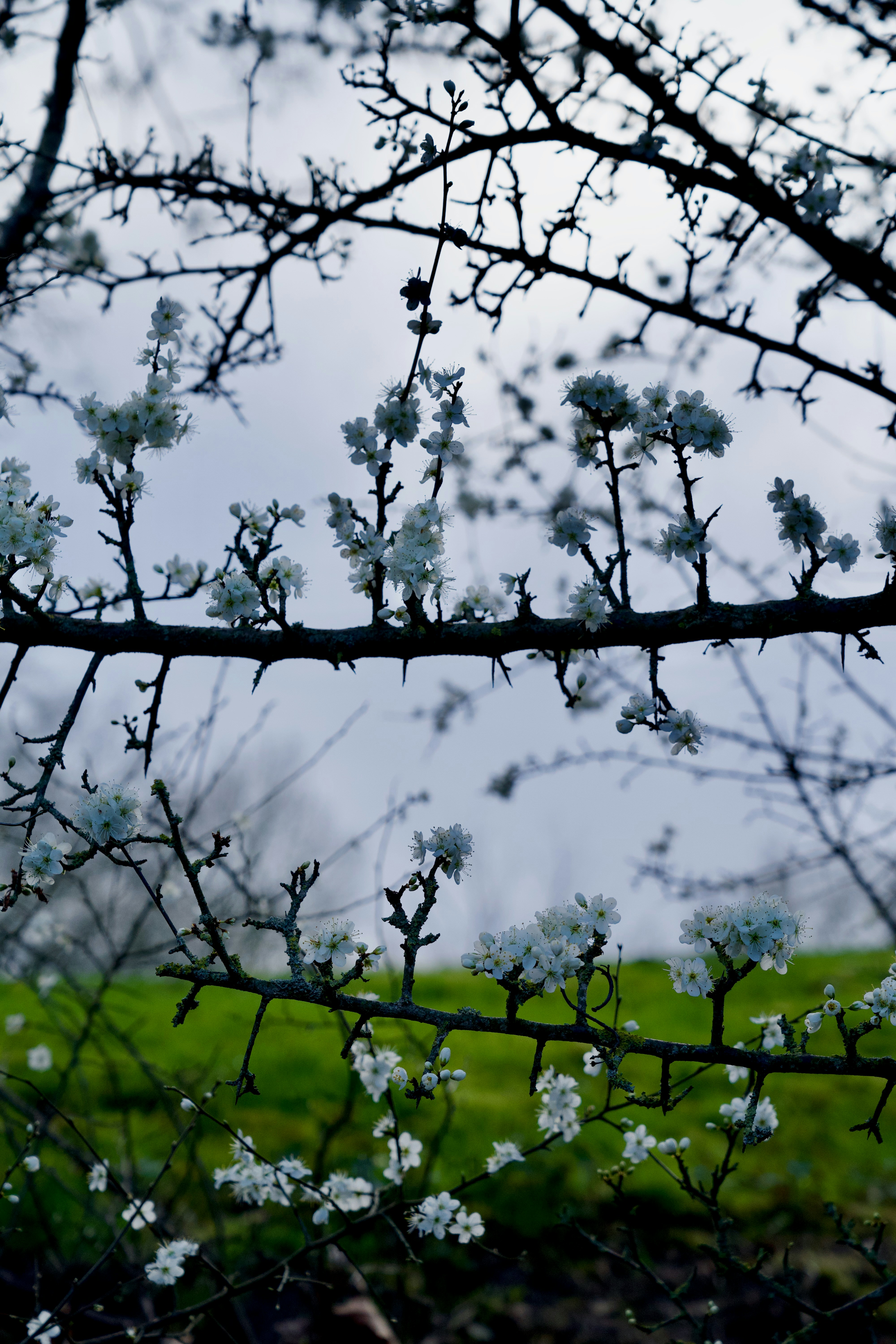 Regional Dishes Worth Seeking