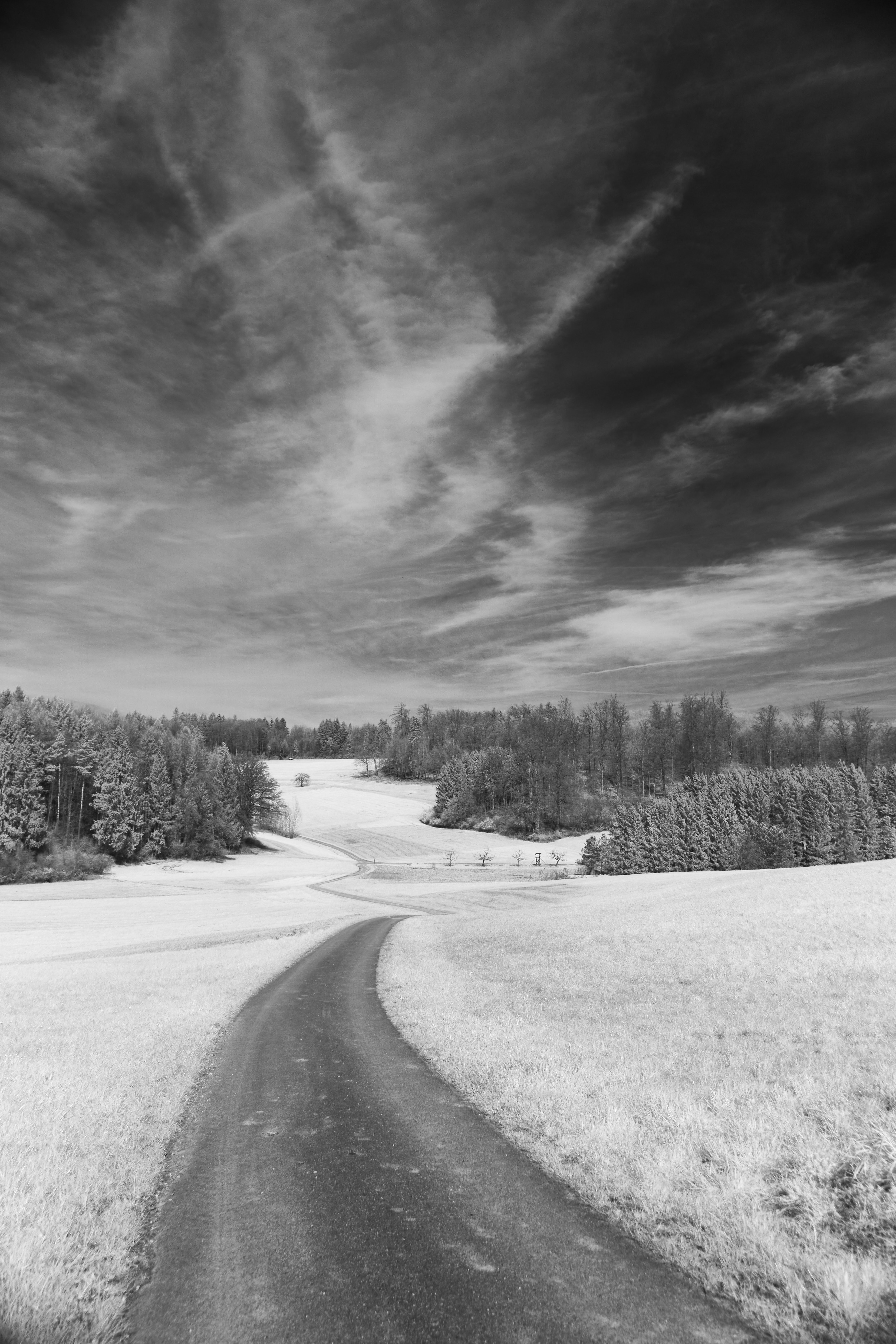 Photo by wolfgang_hasselmann