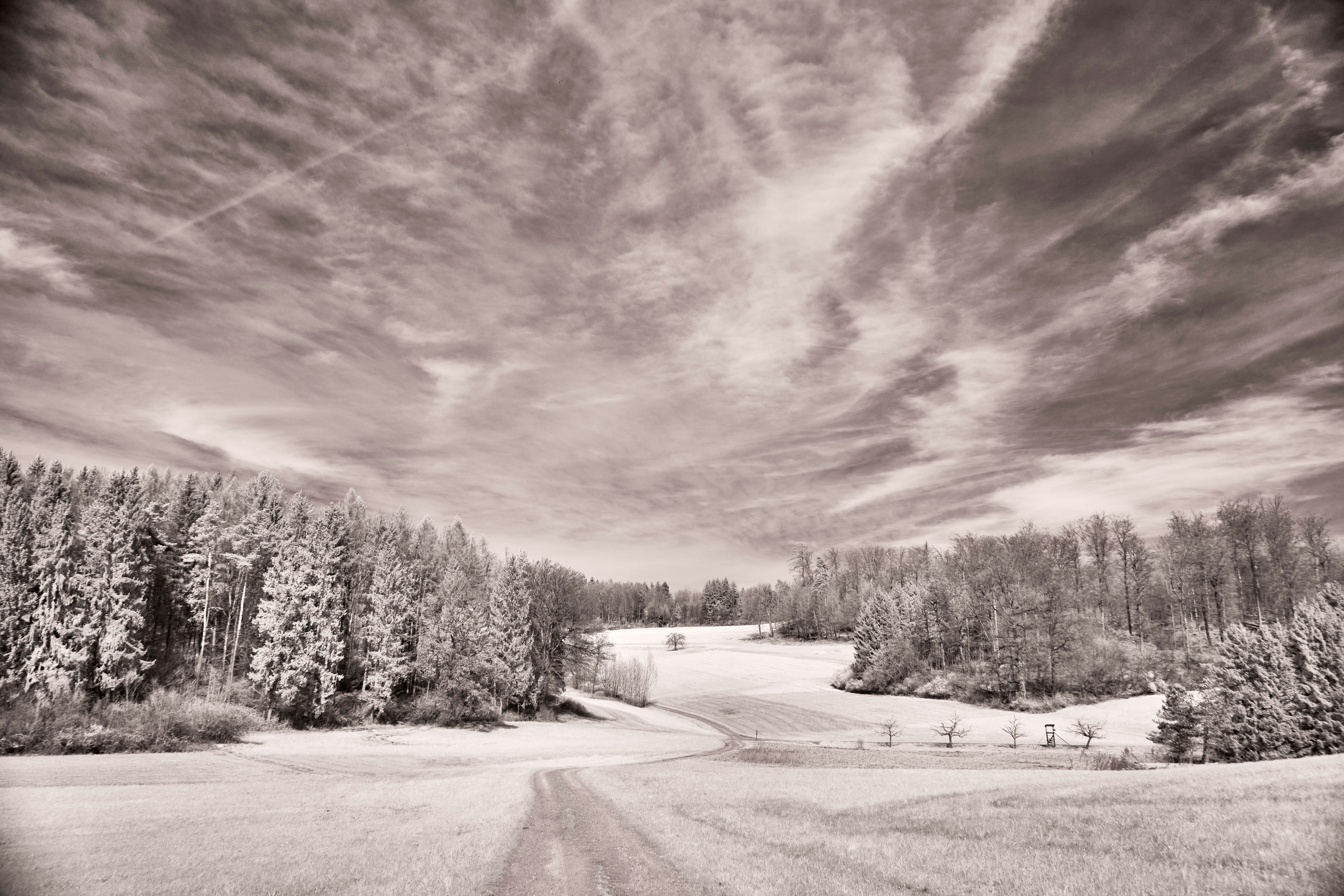 Photo by wolfgang_hasselmann