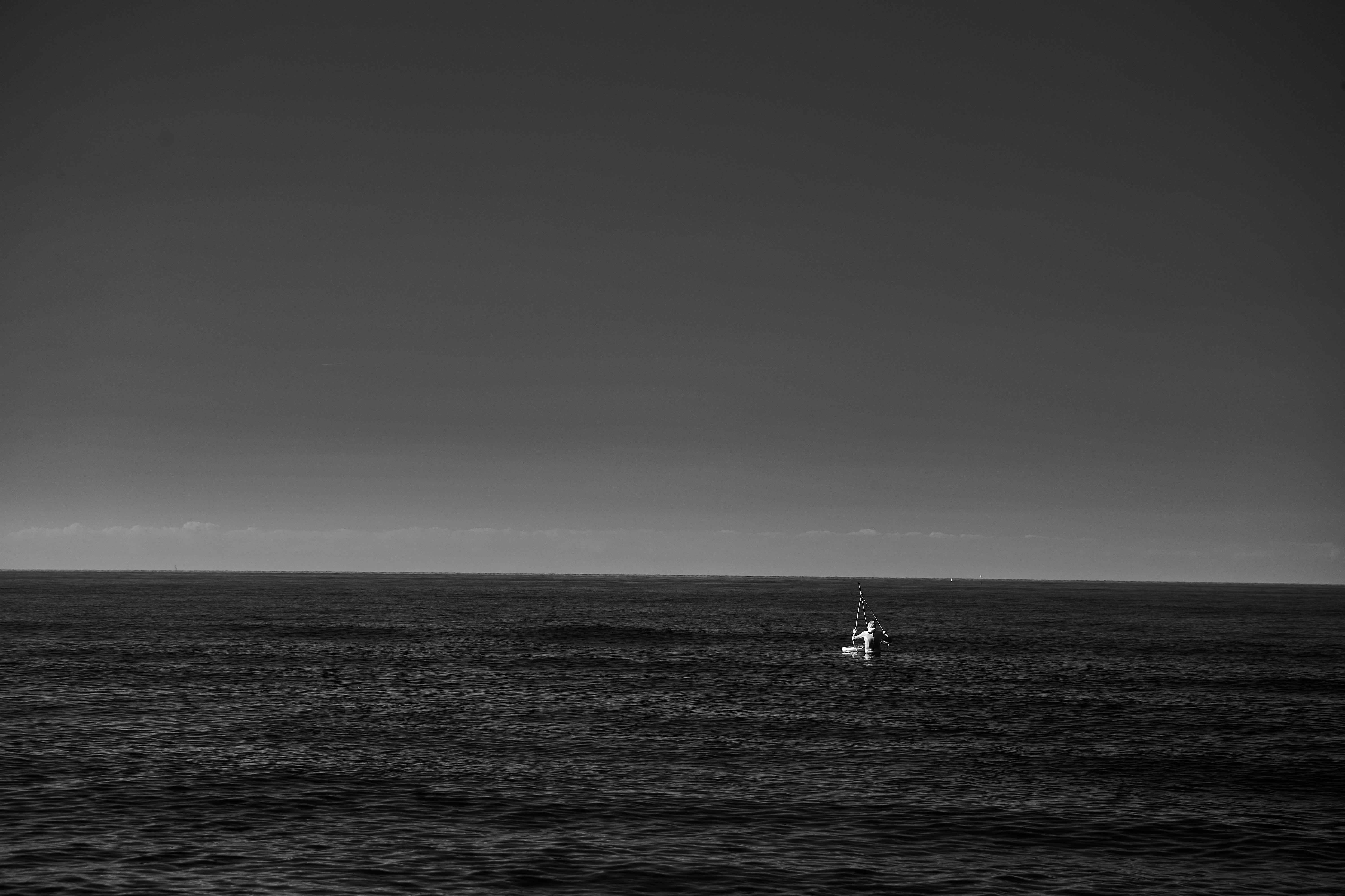 Photo by wolfgang_hasselmann