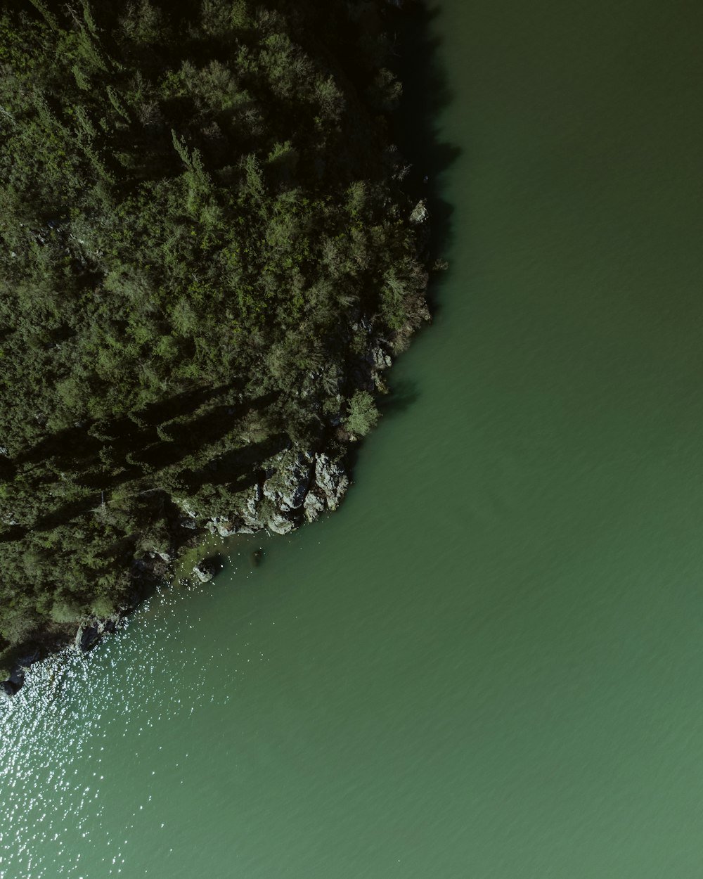 an aerial view of a body of water surrounded by trees