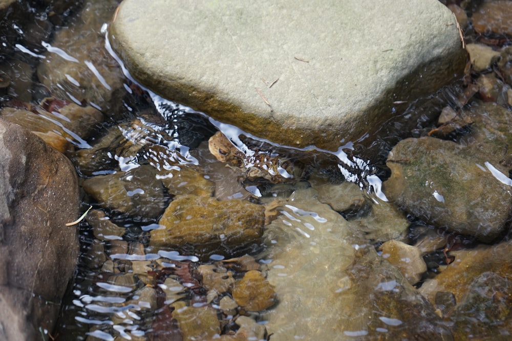 a rock sitting on top of a body of water