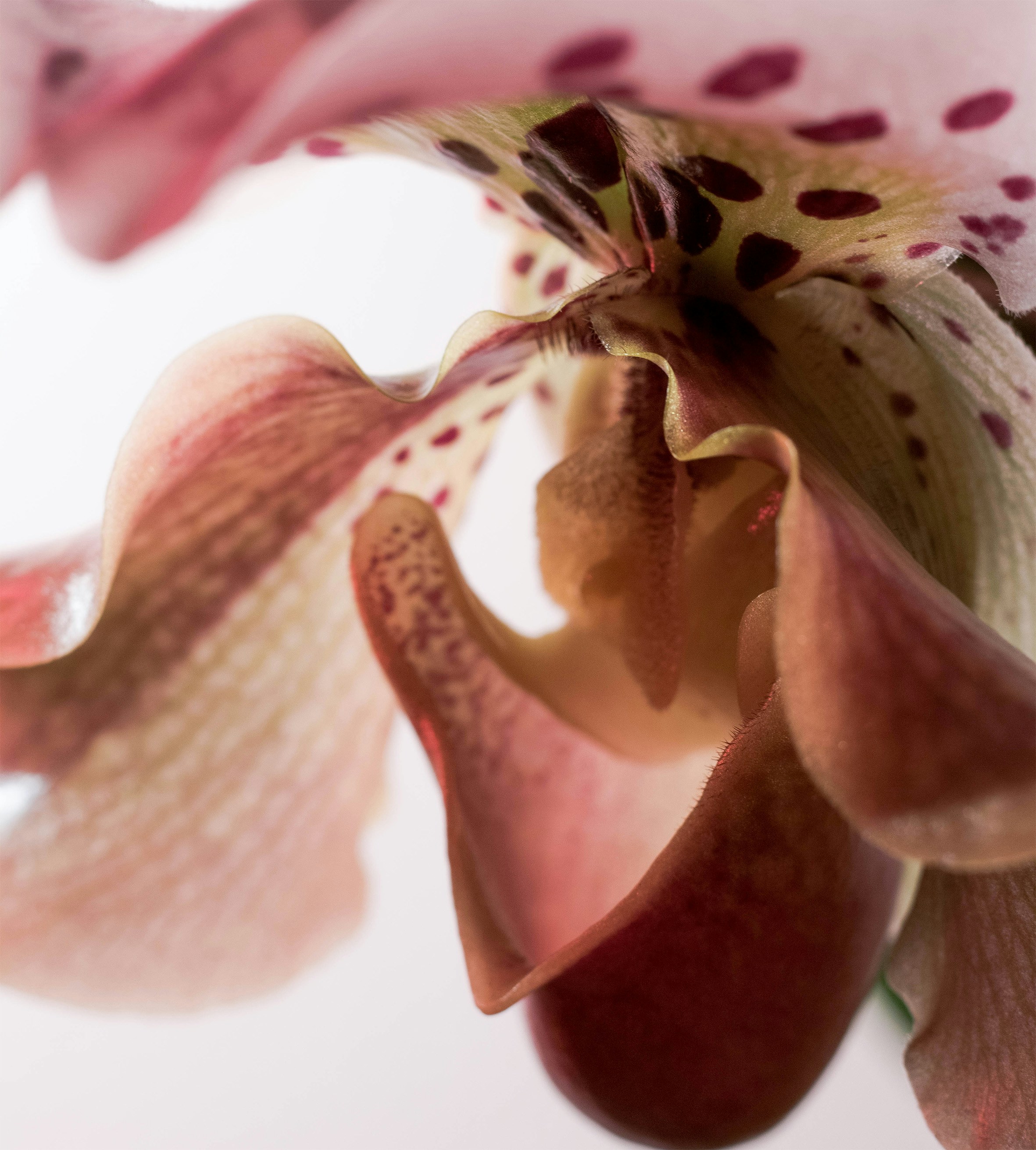 Photo by appunti_di_asa