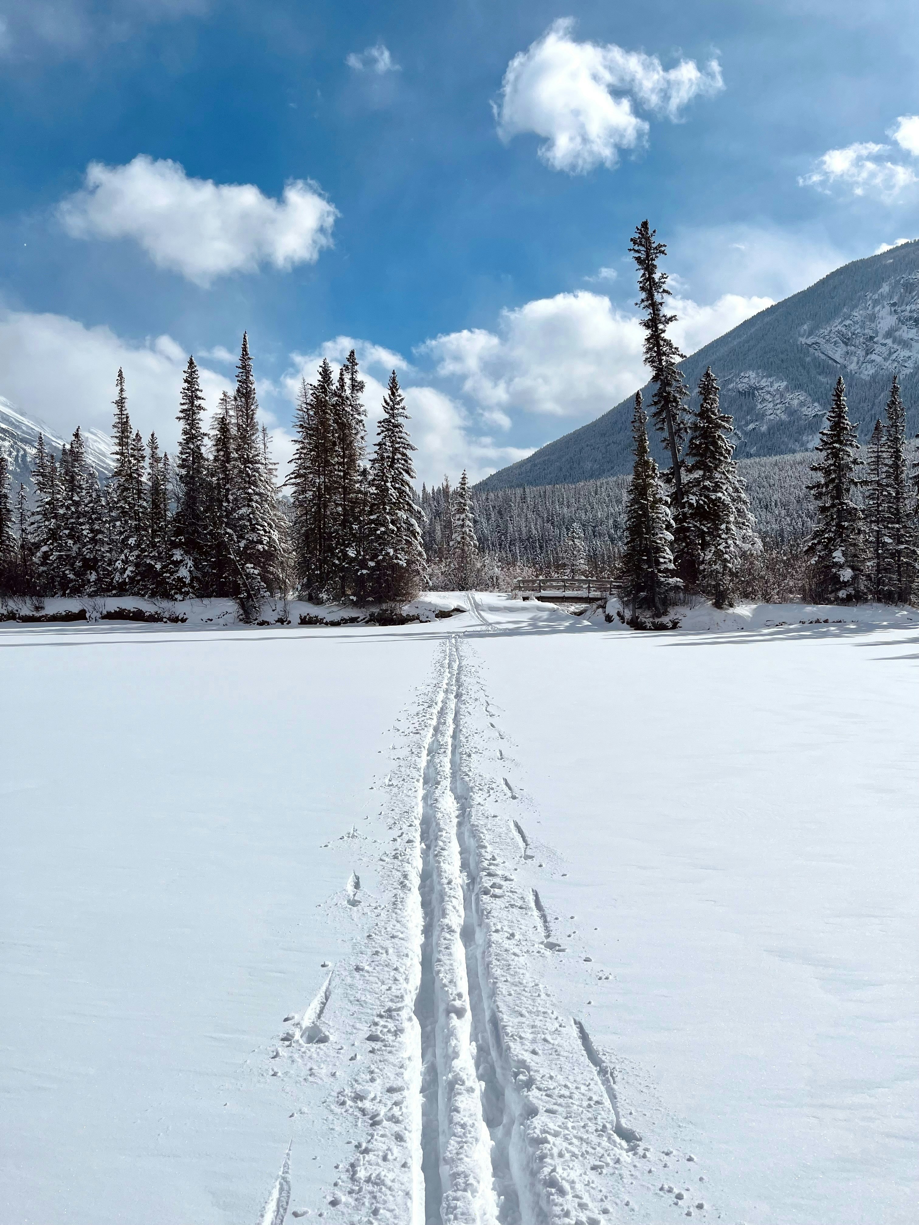 Photo by yongwookseong