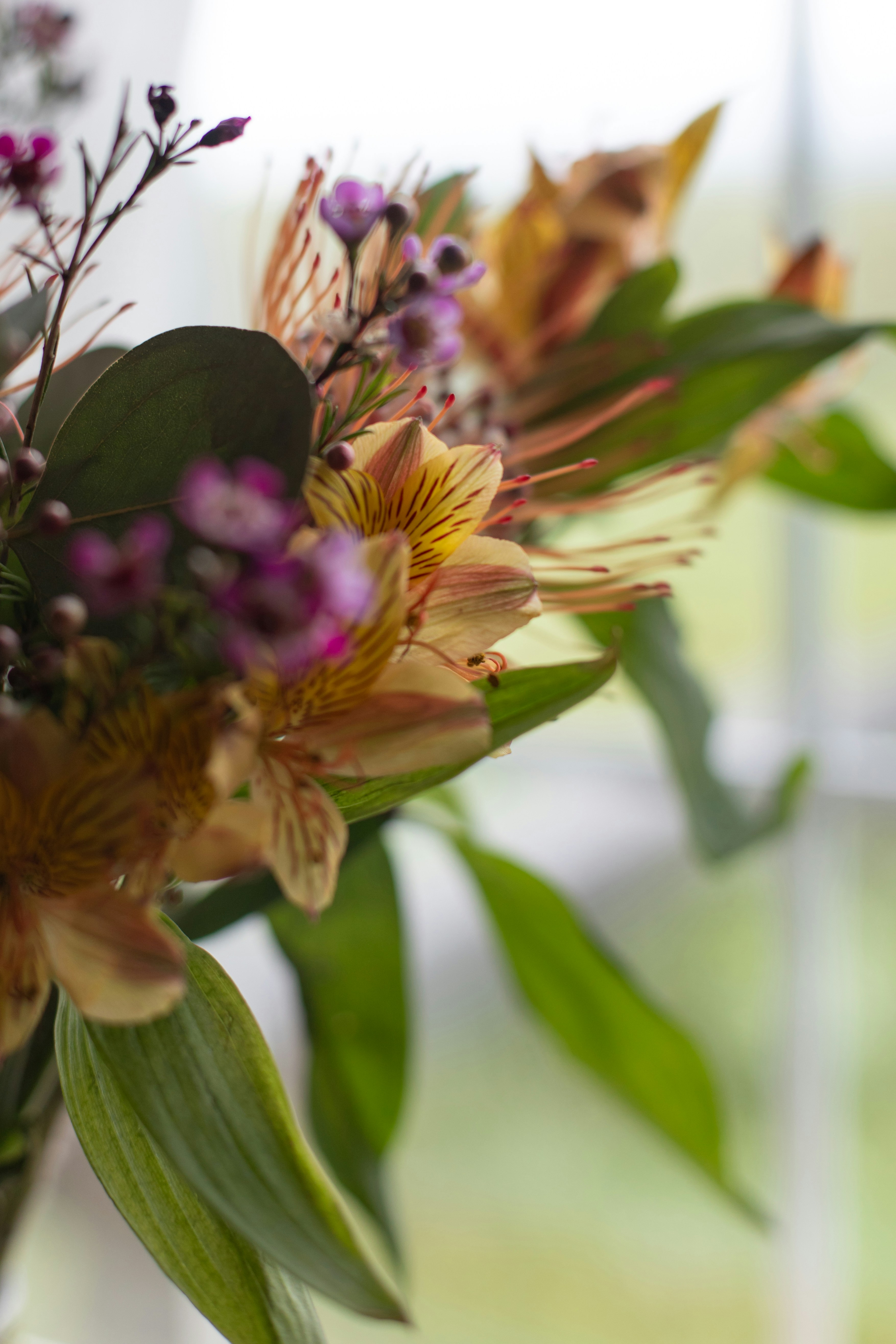 Photo by sixteenmilesout