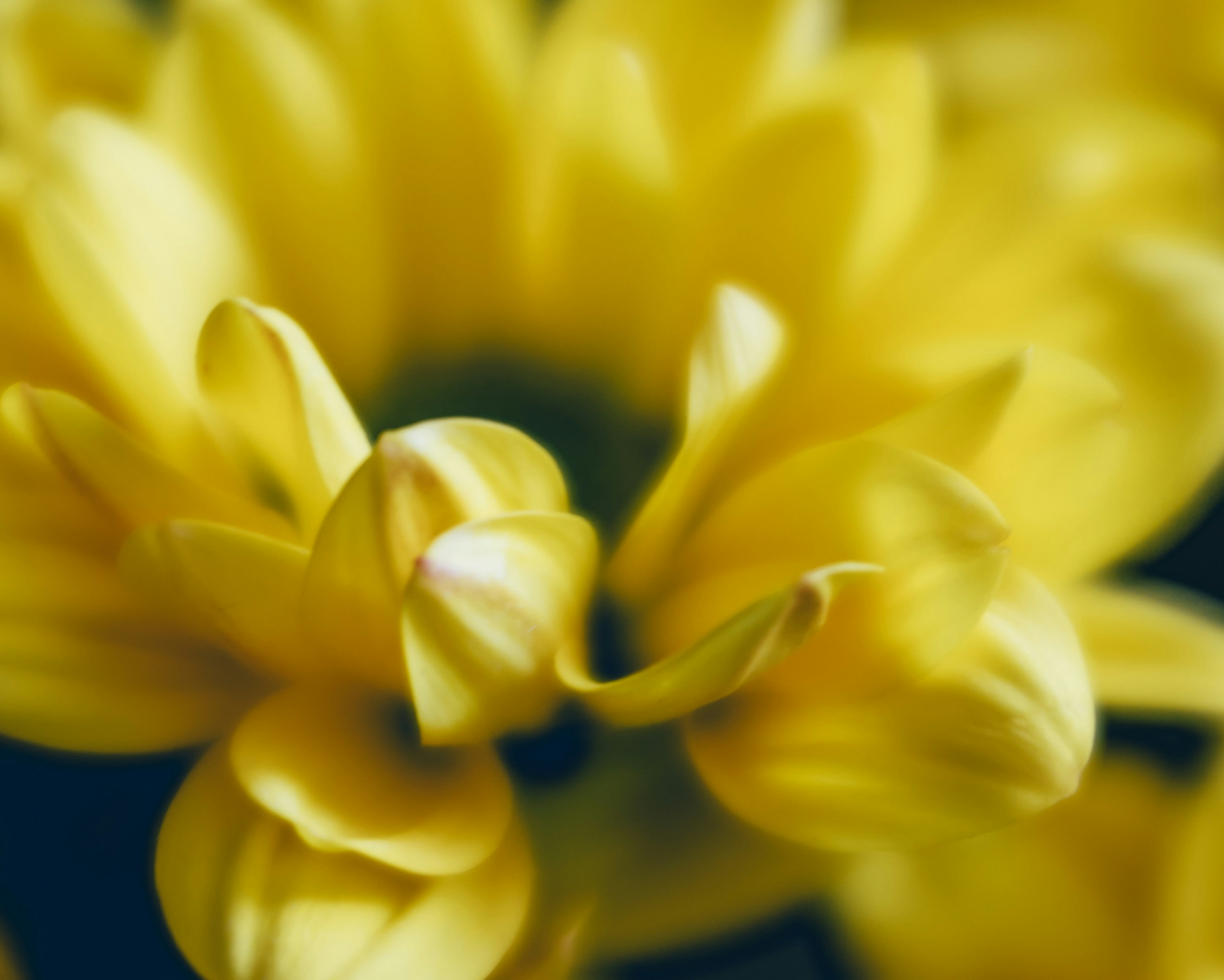 Photo by sixteenmilesout