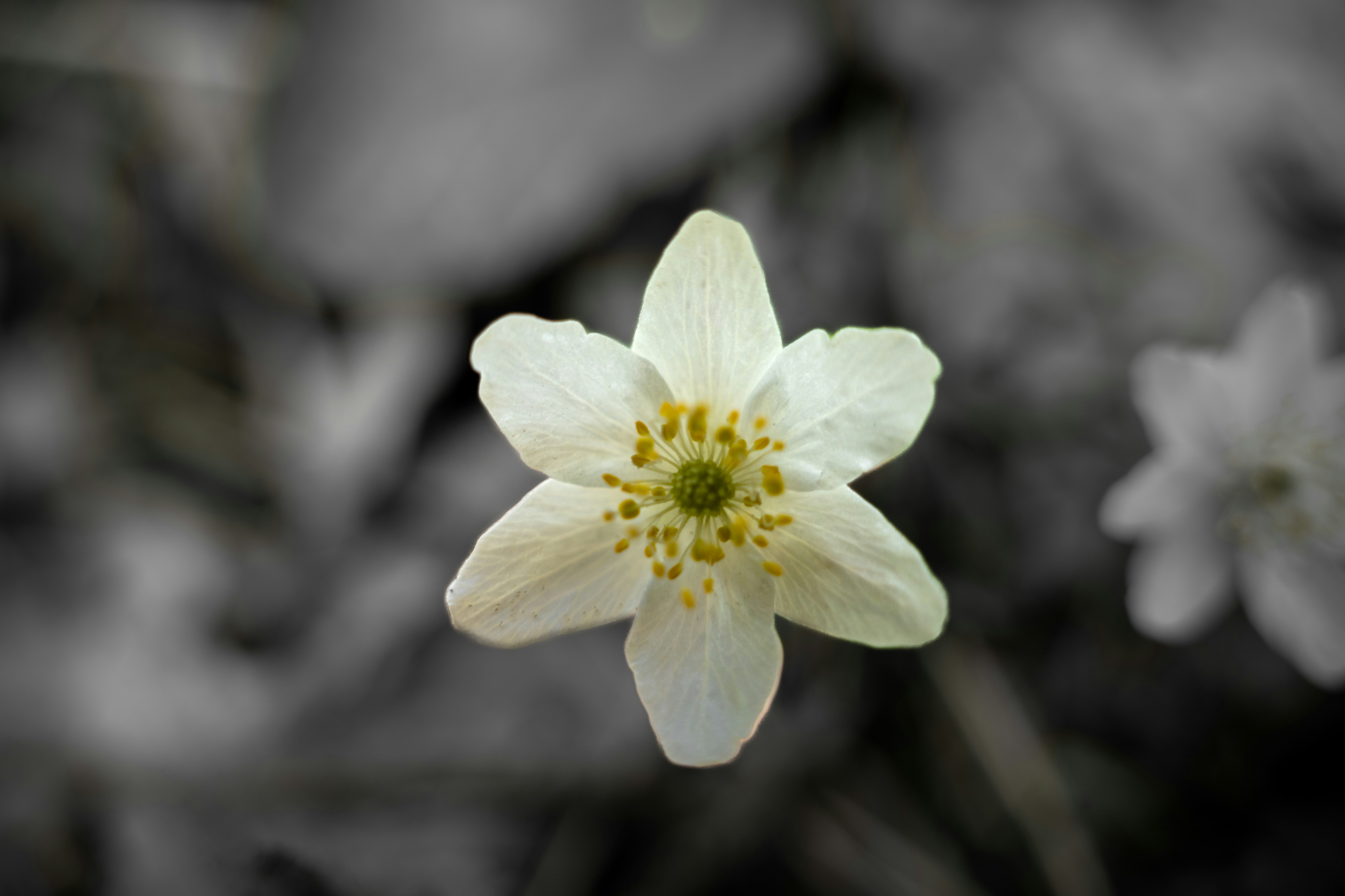 Photo by misha_blivi