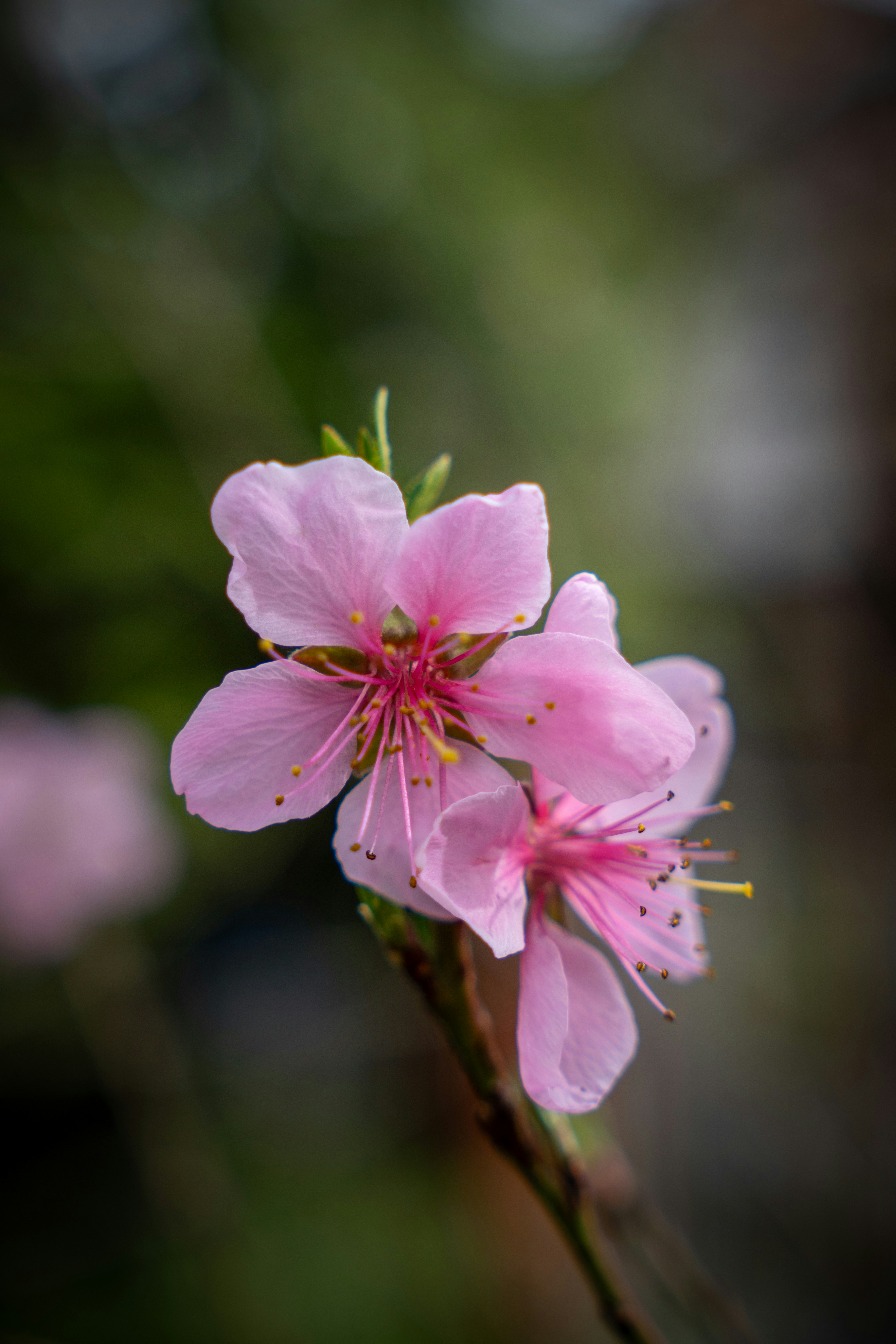 Photo by misha_blivi