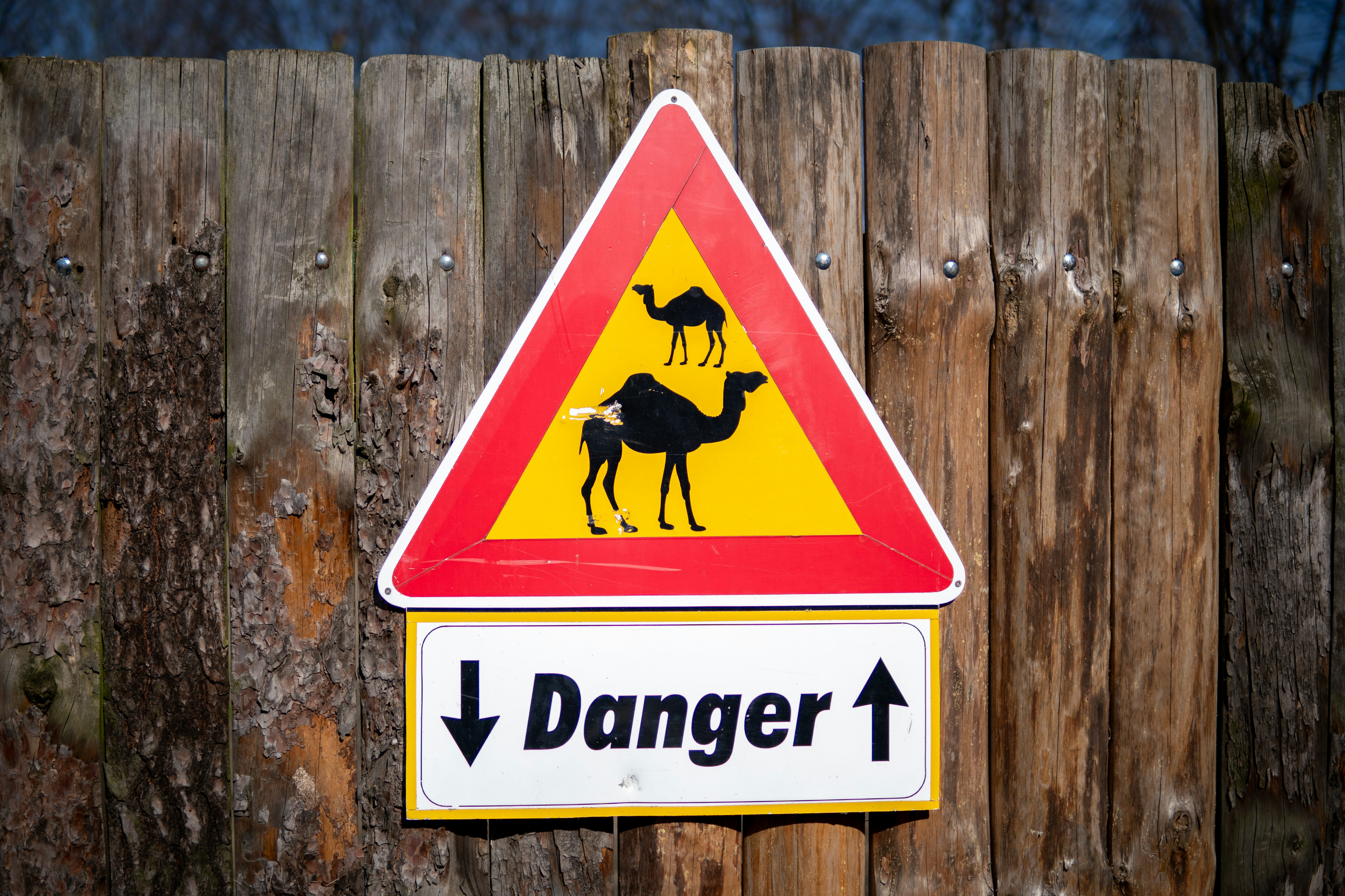 a warning sign on a wooden fence warning of camels