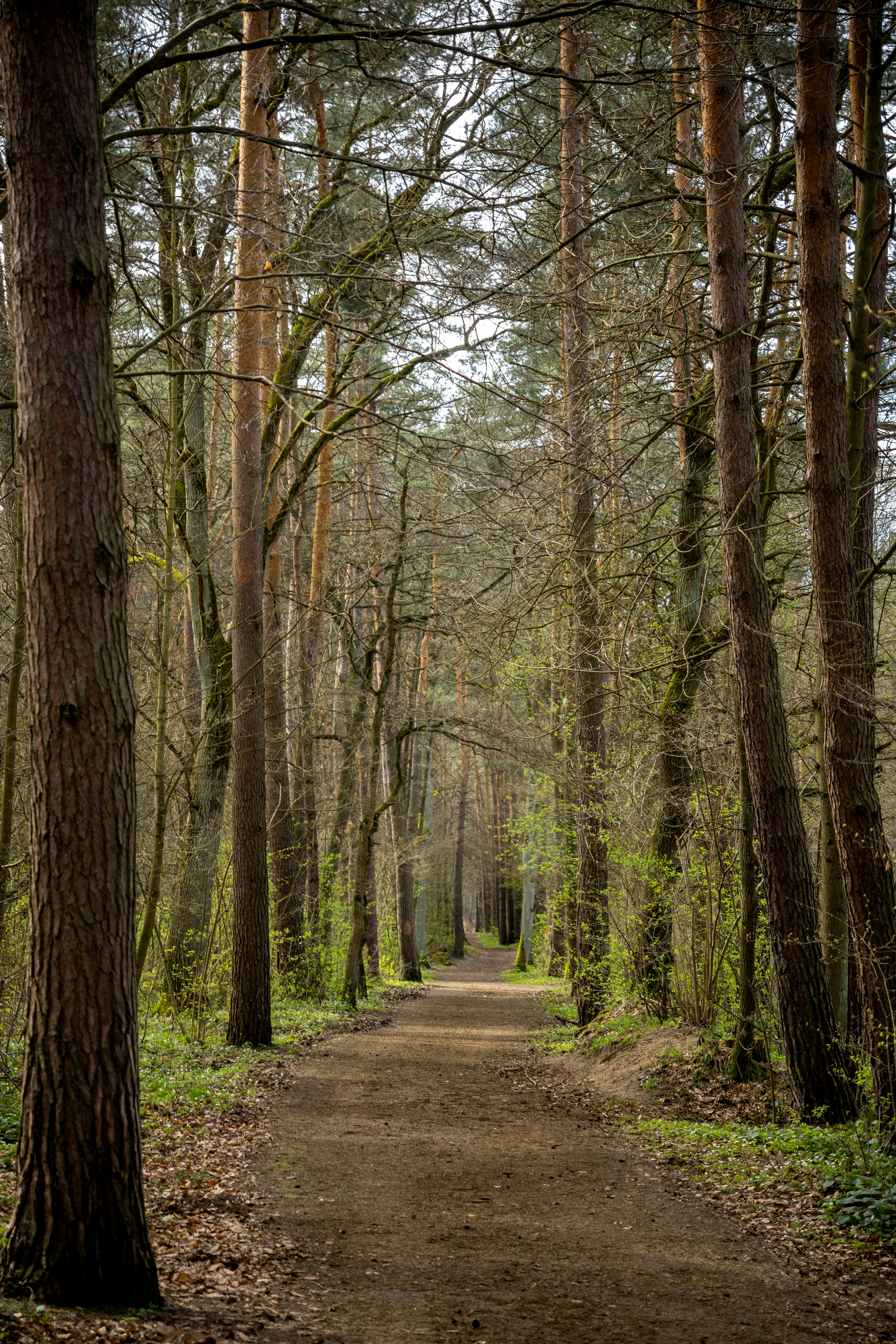 Photo by misha_blivi