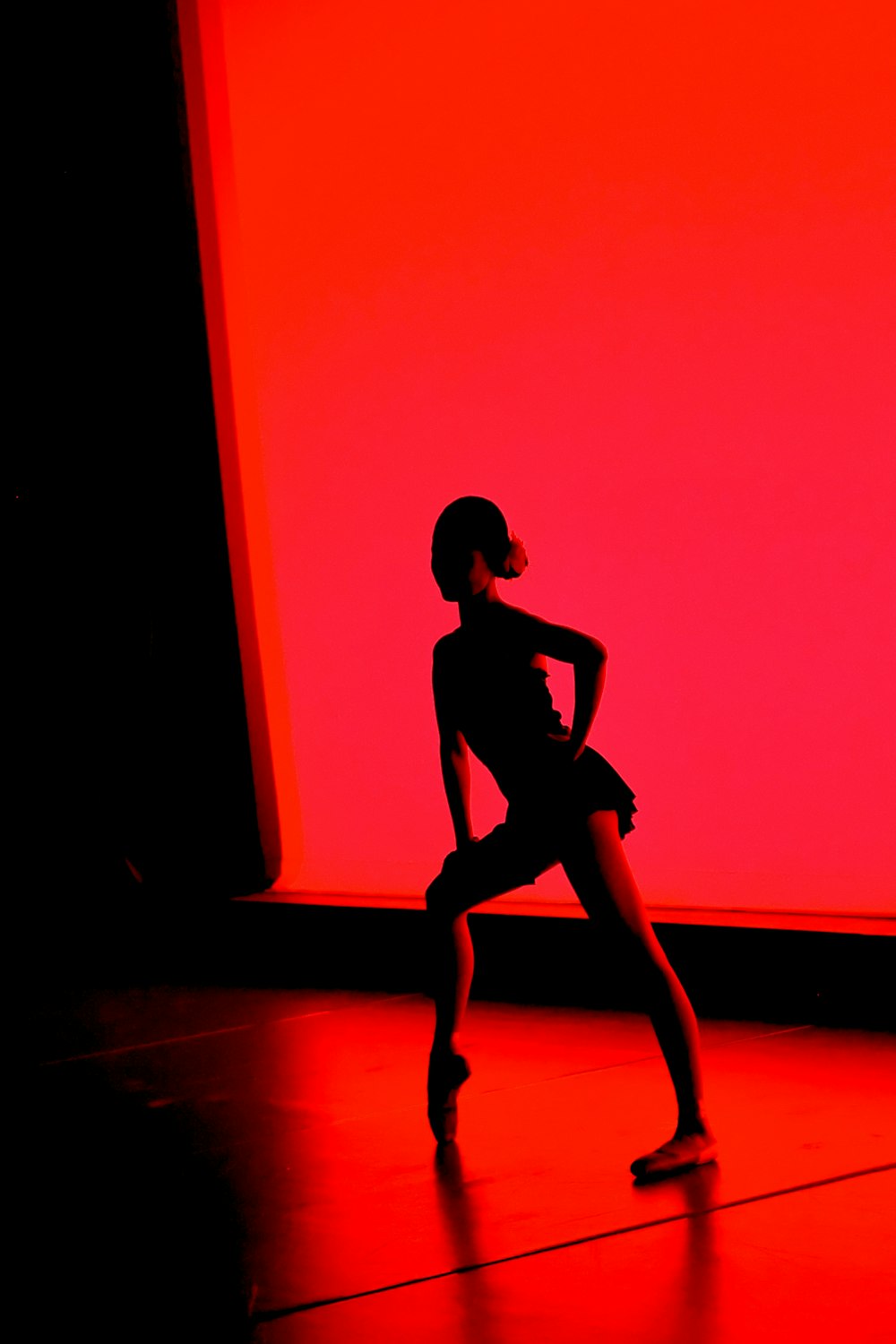 a silhouette of a woman in a black leotard