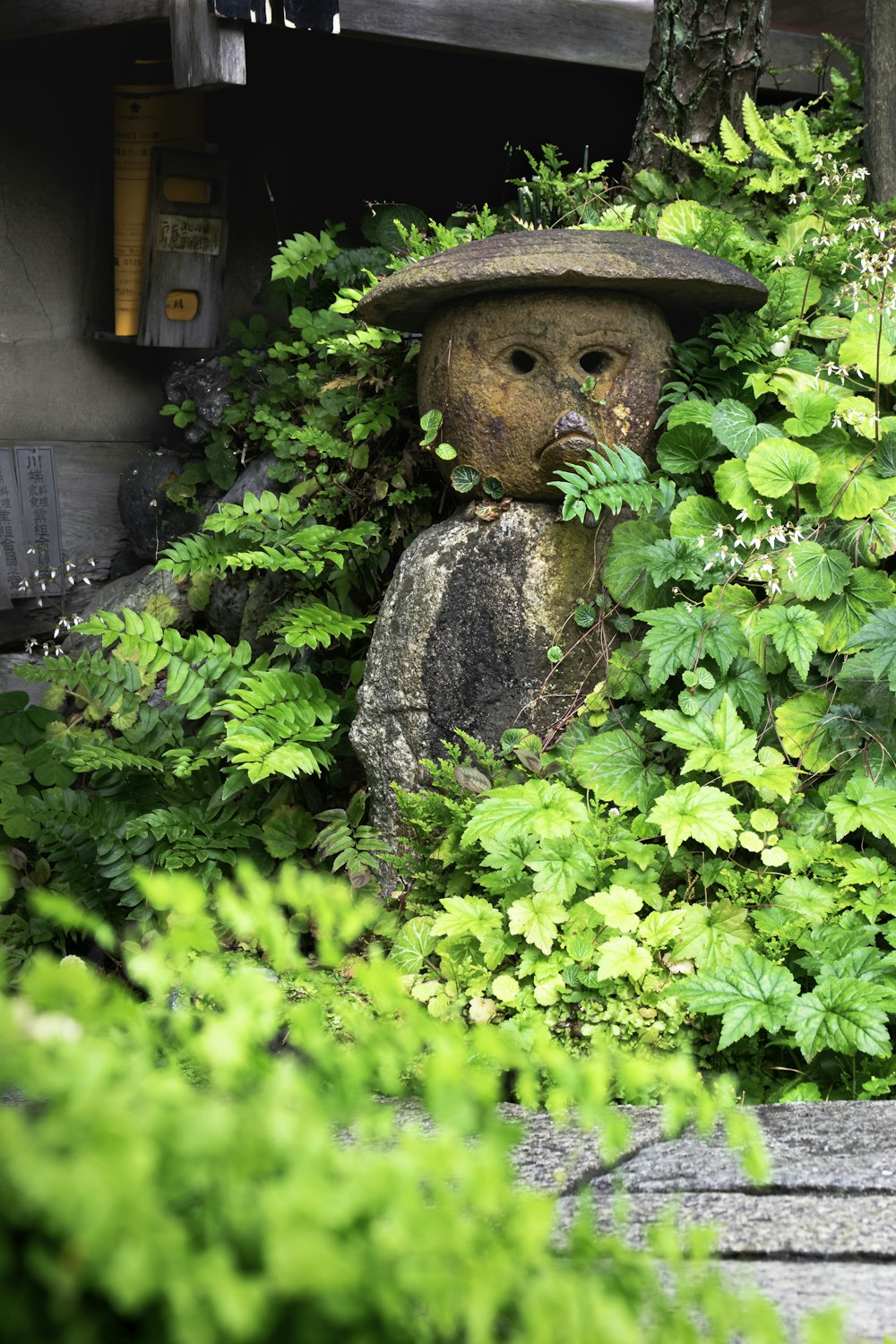 a statue of a bear in a bush with a hat on