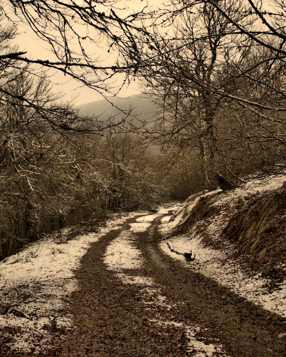 a dirt road surrounded by snow covered trees