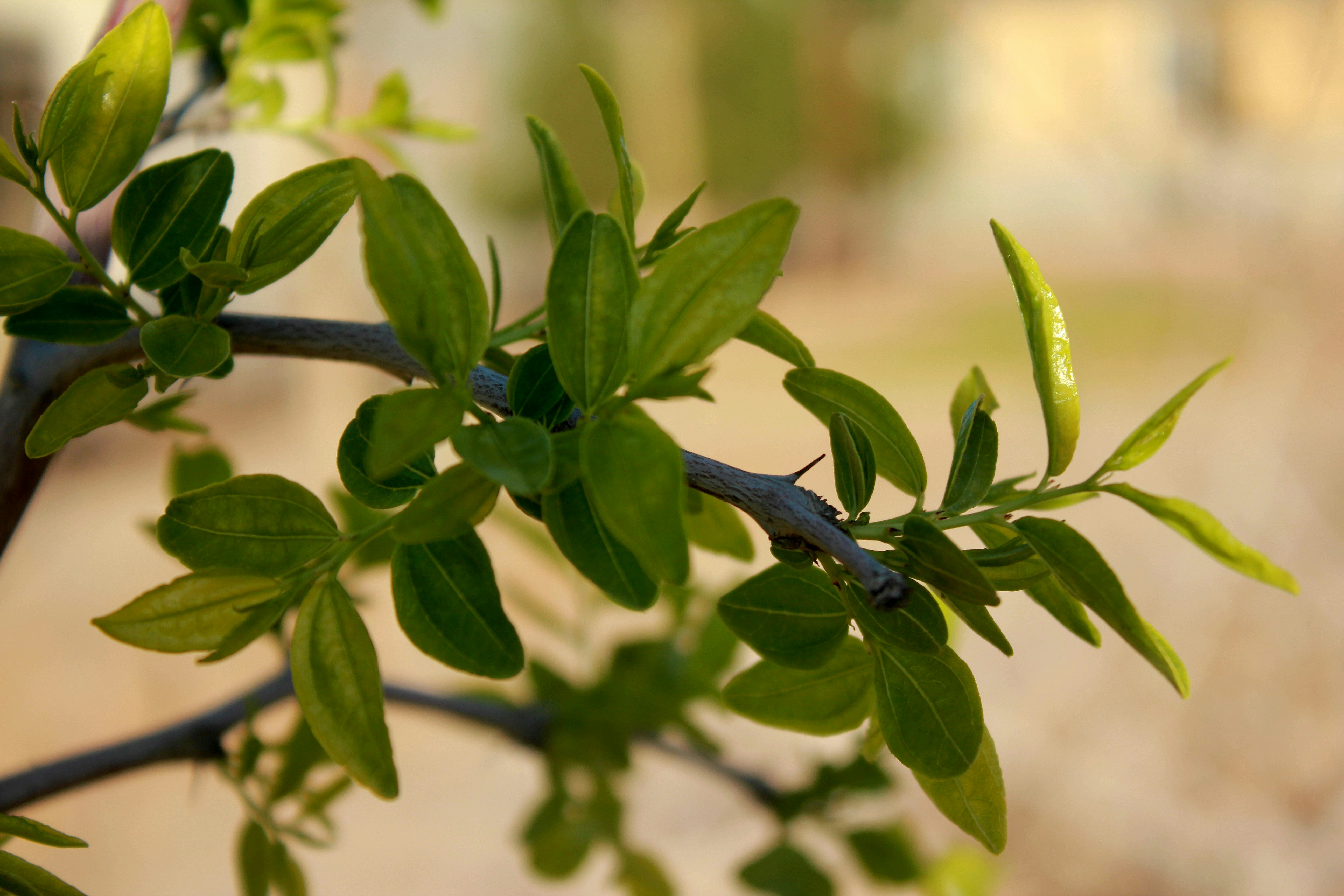 Photo by manavimoghadam