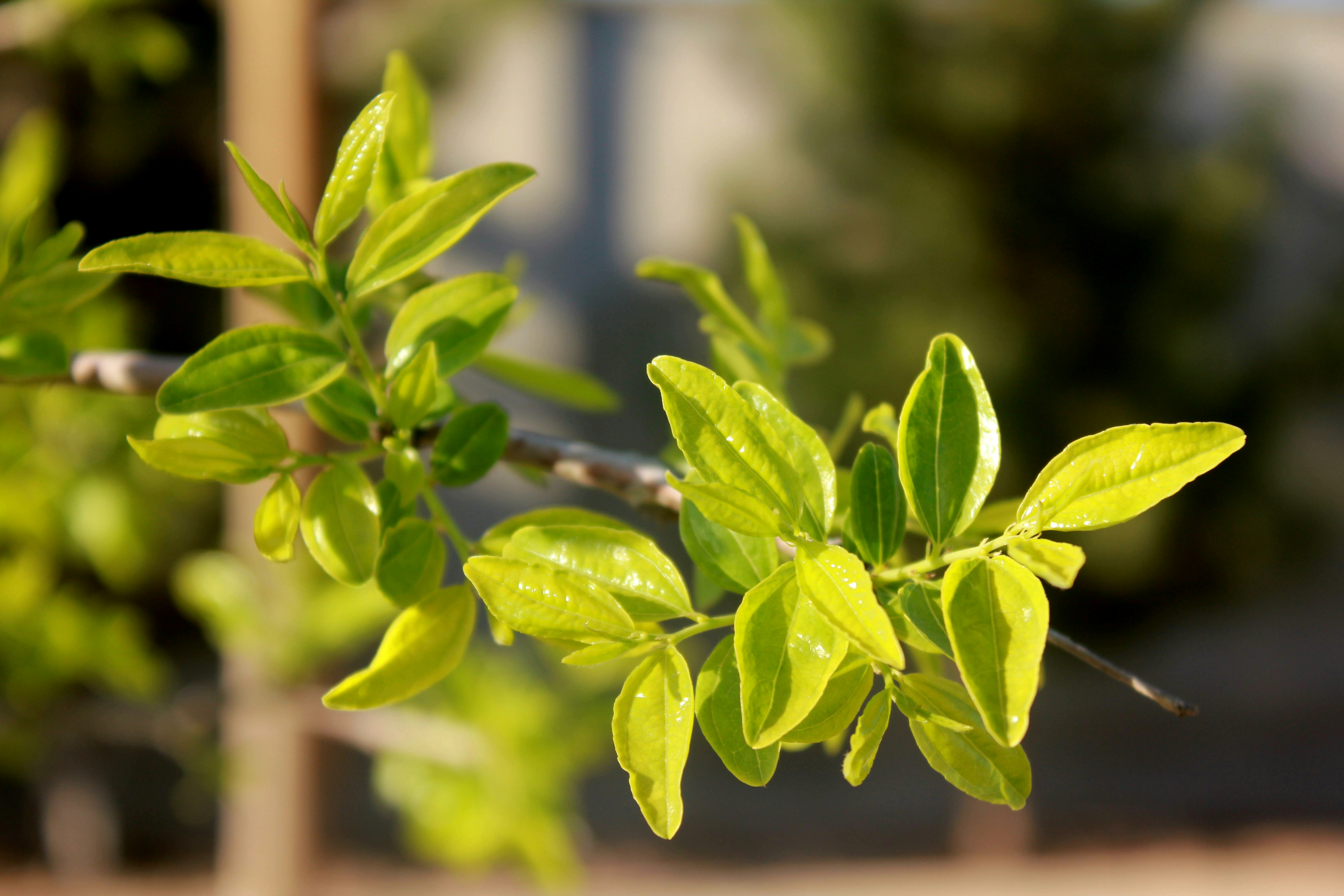 Photo by manavimoghadam