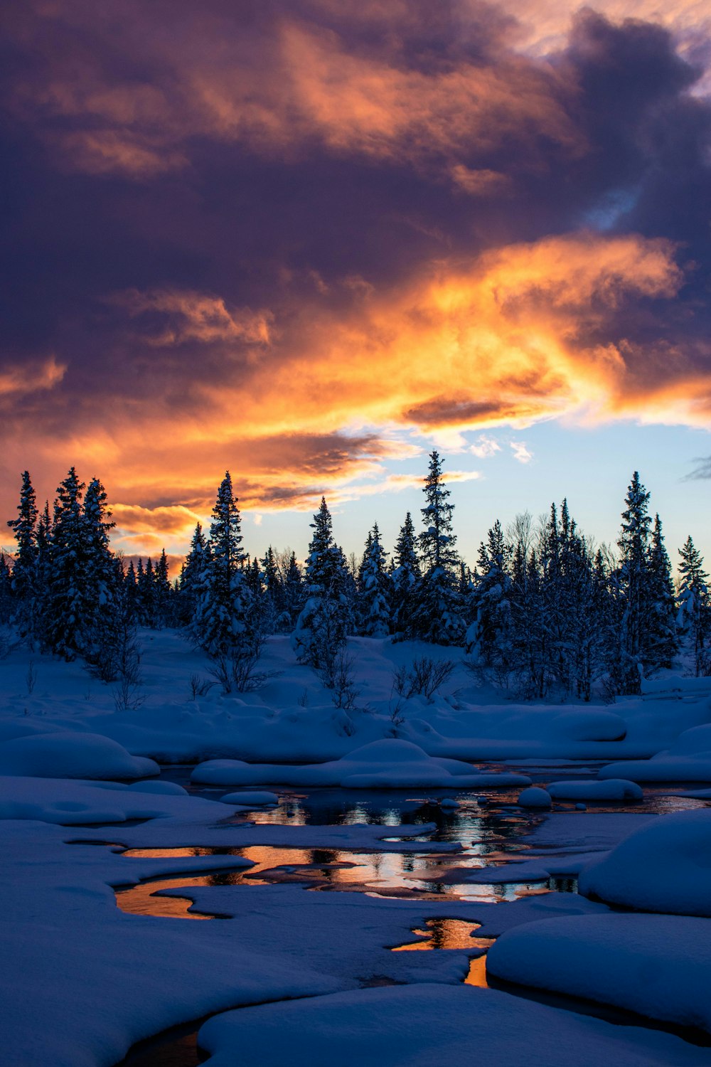 the sun is setting over a snowy forest