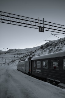 a black and white photo of a train on the tracks
