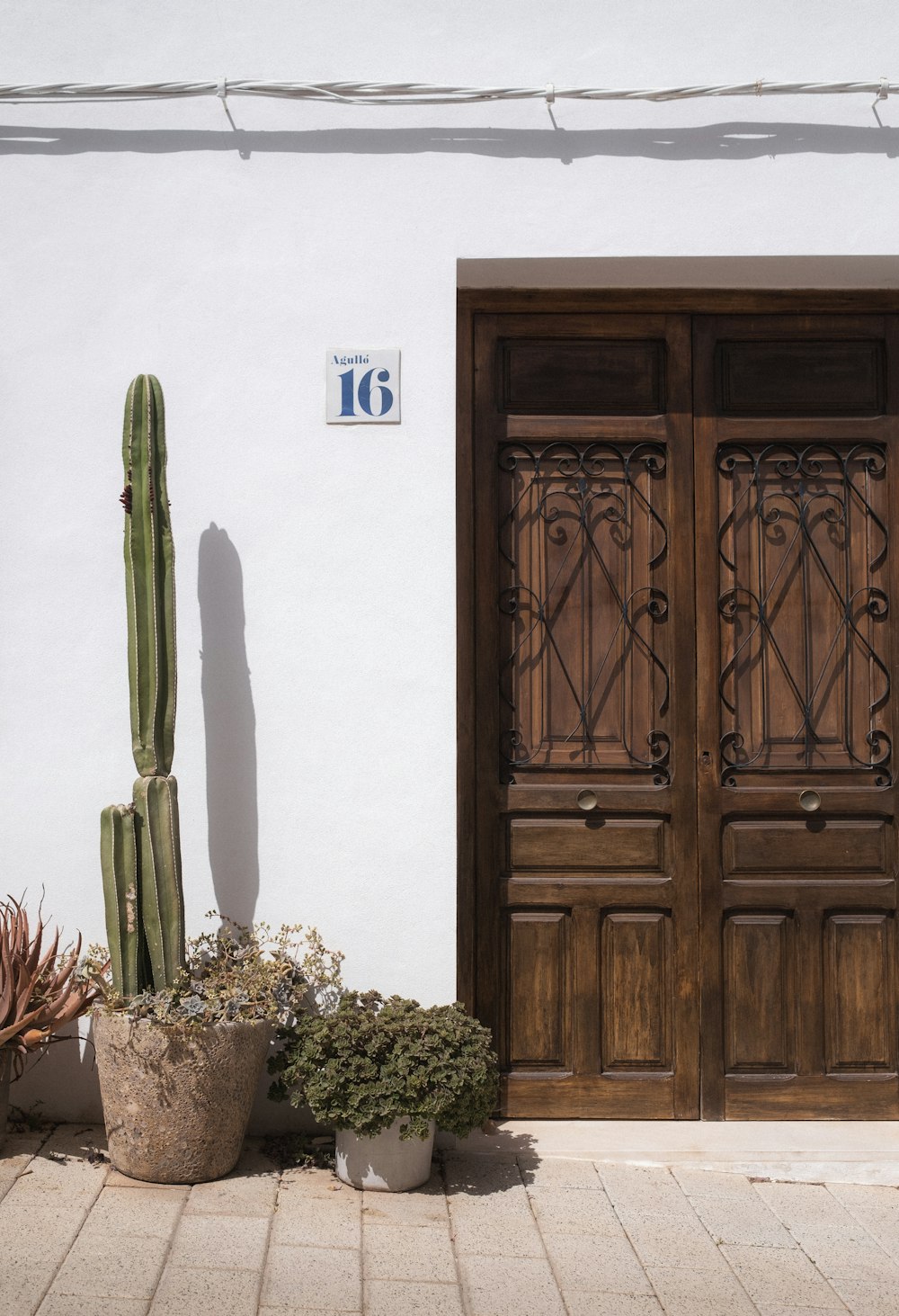 a couple of cactus plants sitting in front of a door