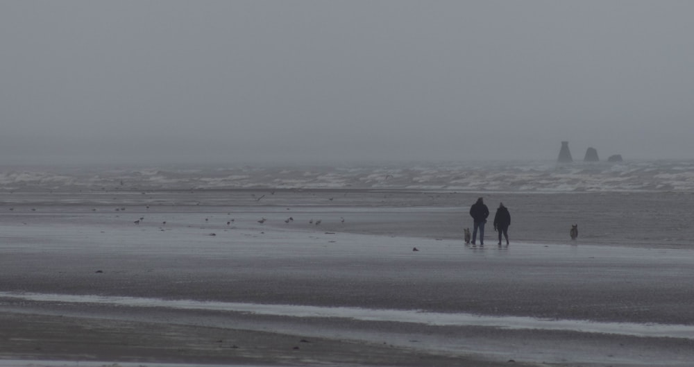 a couple of people walking across a beach