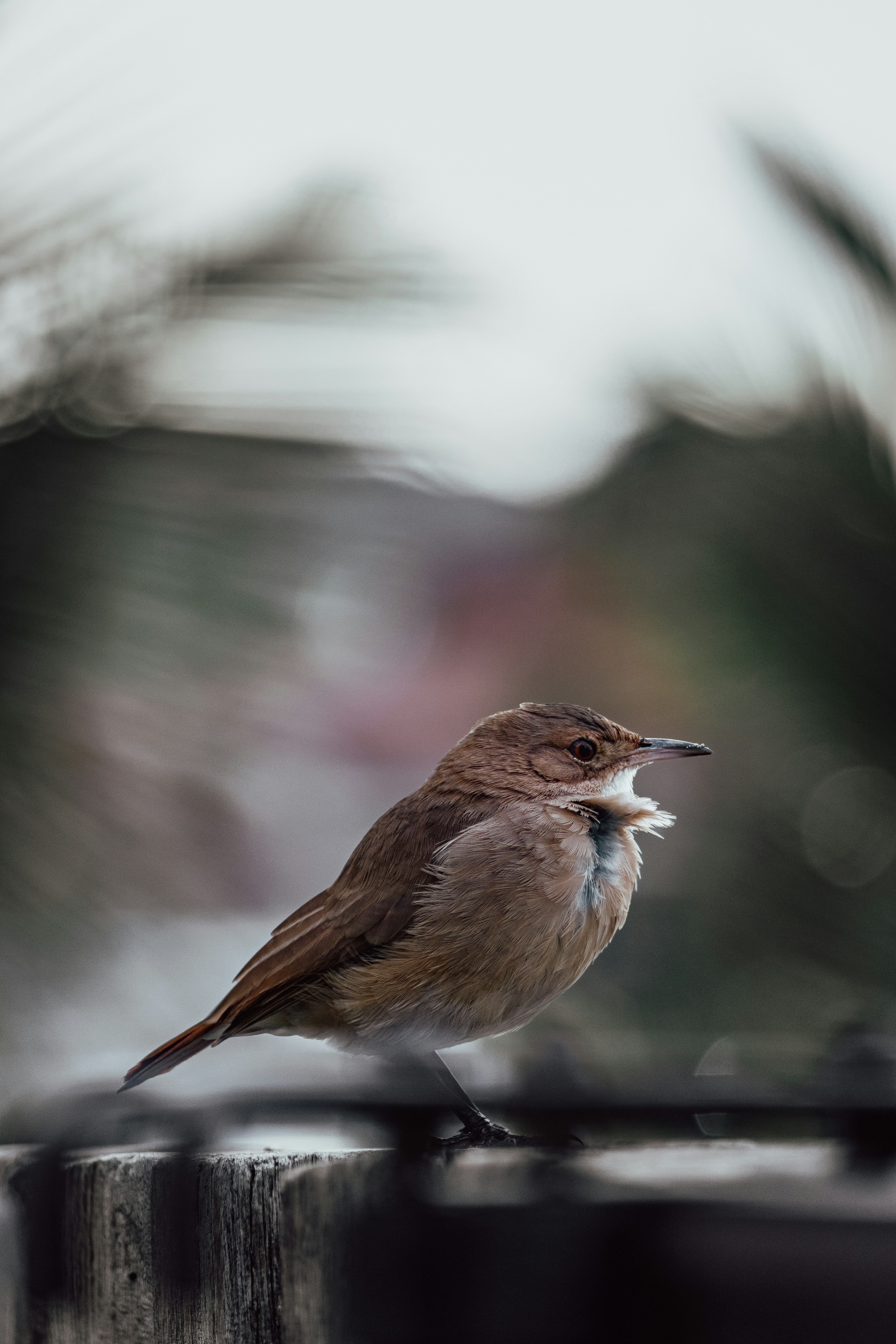 Photo by gabrielfotos