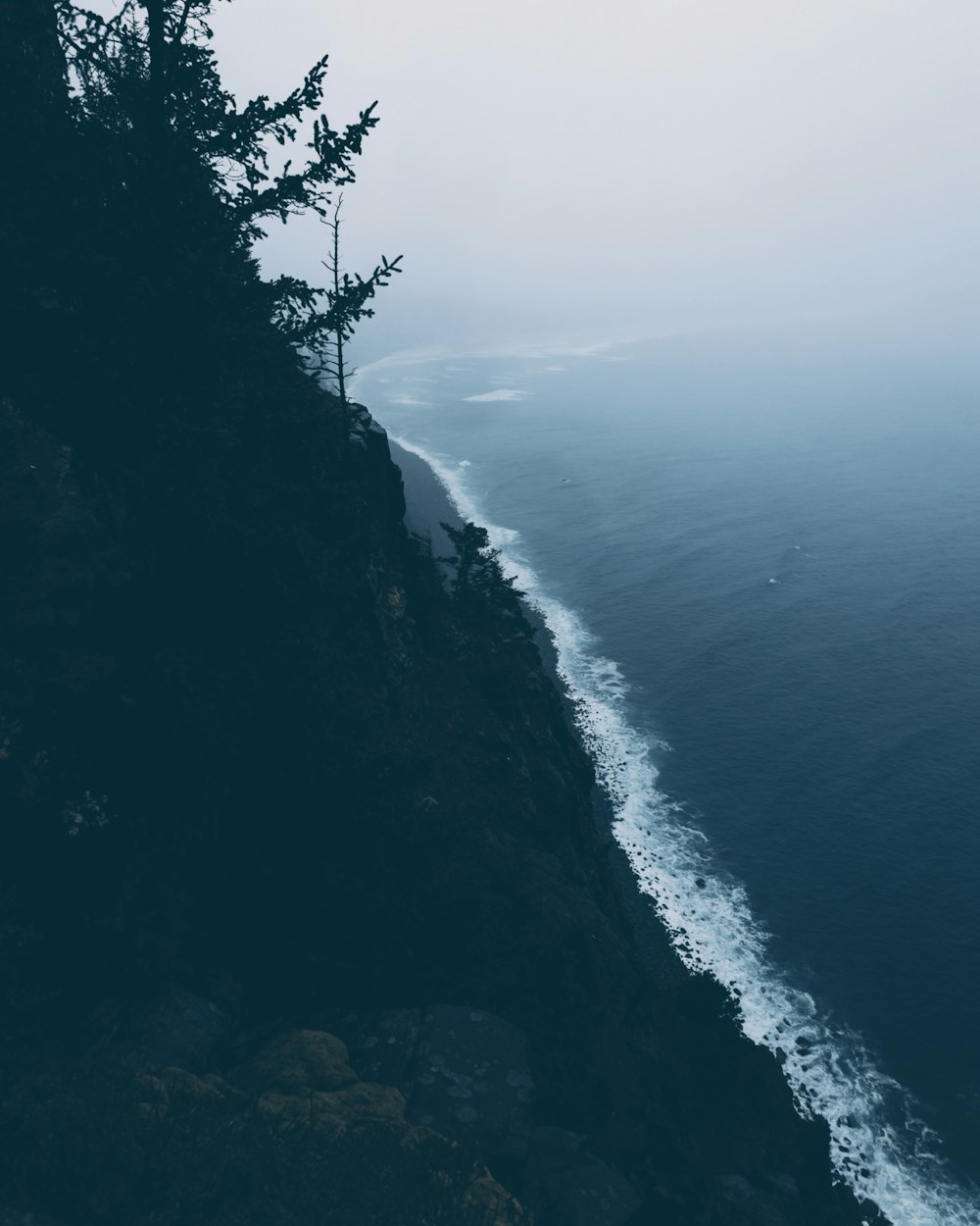 a lone tree on the edge of a cliff