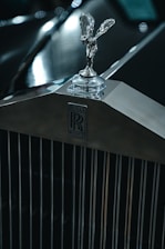 a close up of the hood ornament on a car