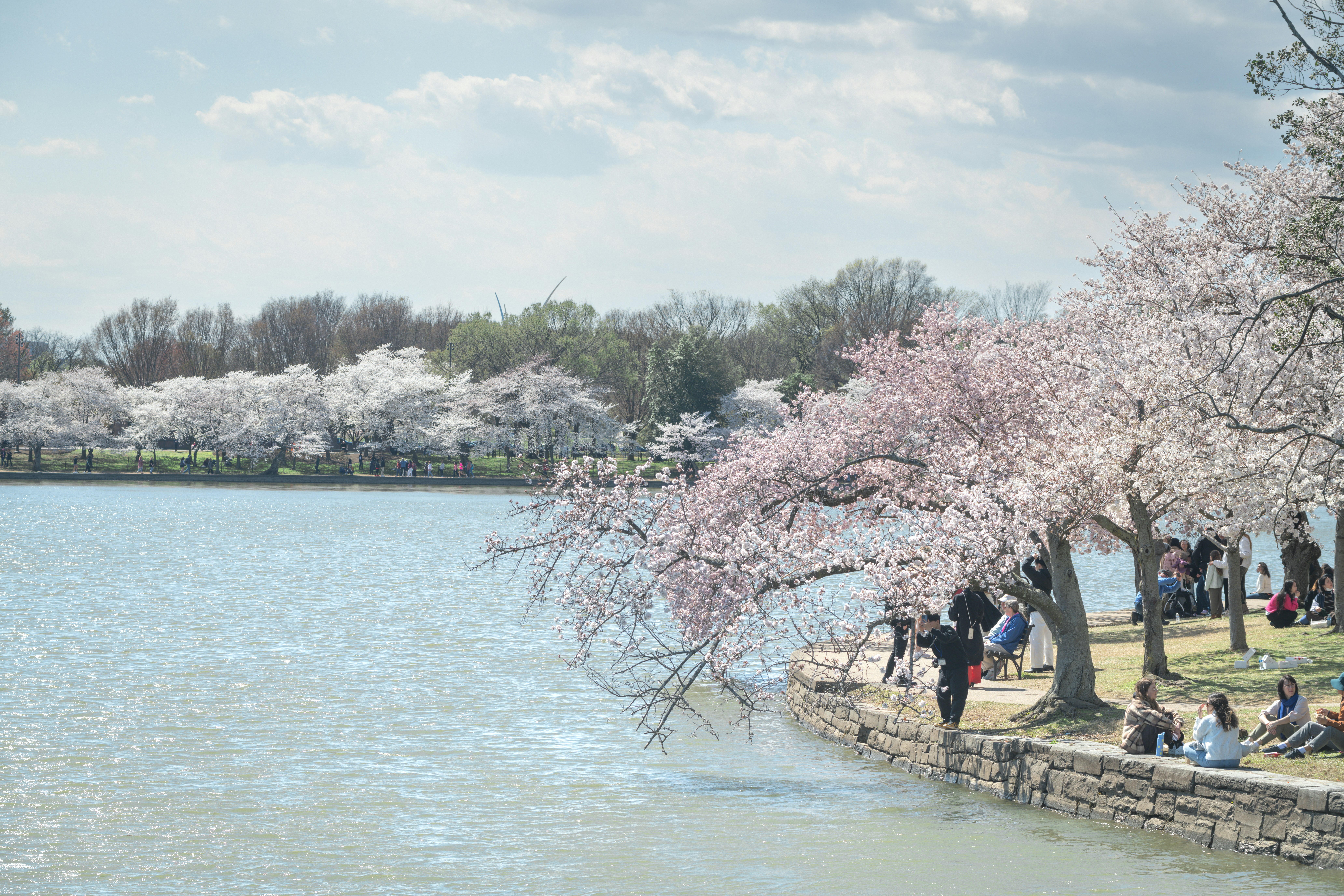 Photo by sriniunsplash