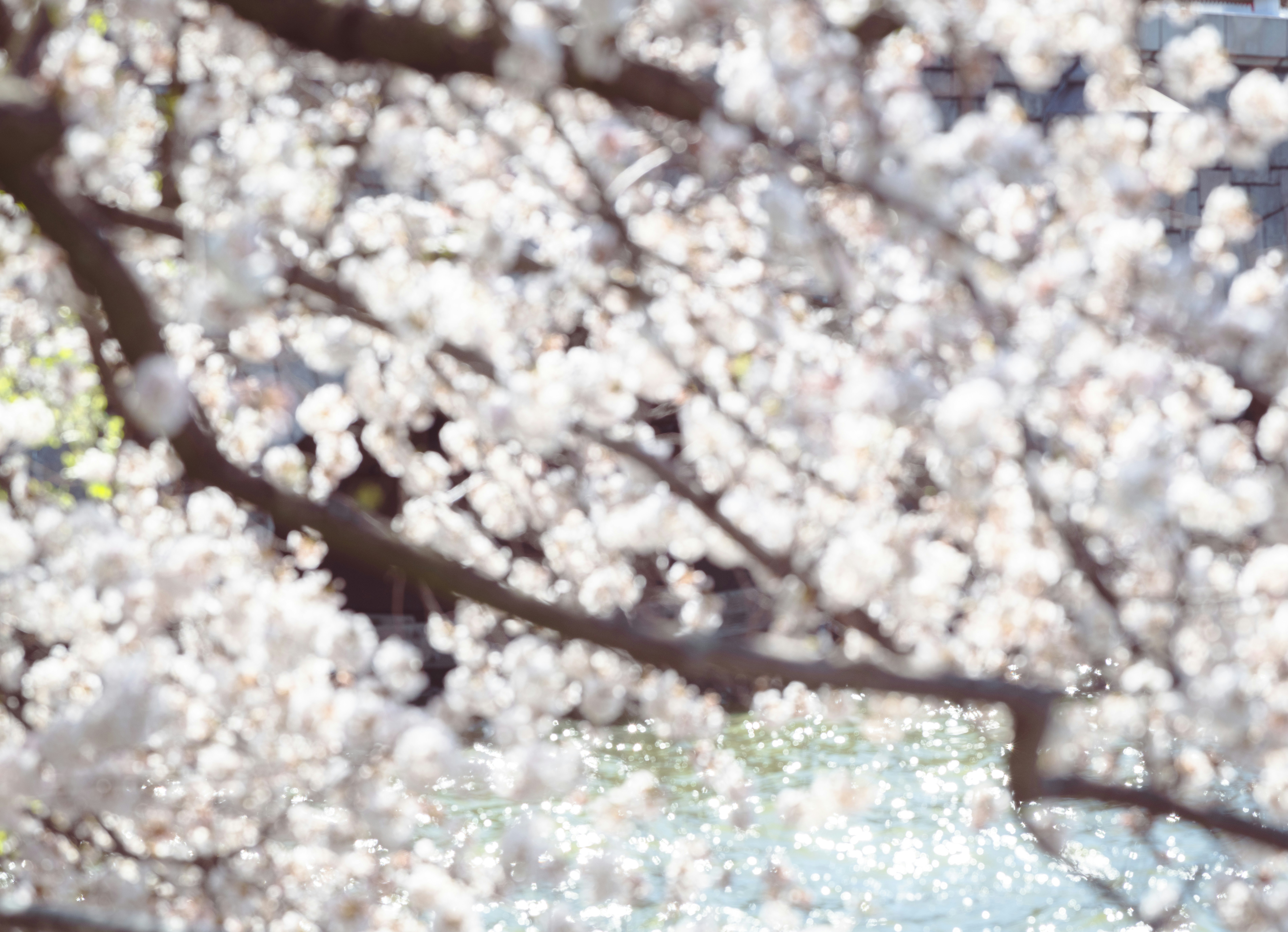 Photo by sriniunsplash