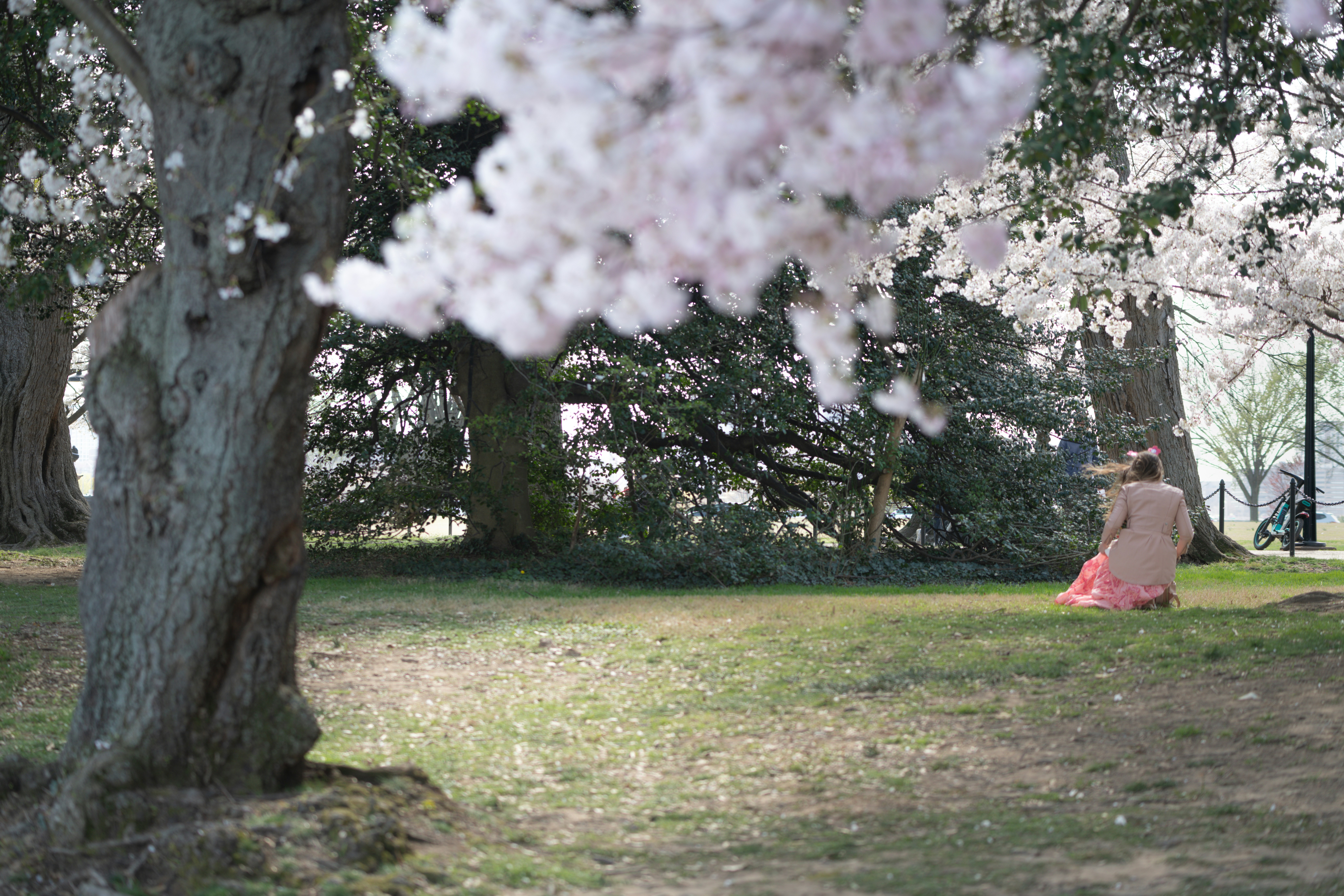 Photo by sriniunsplash