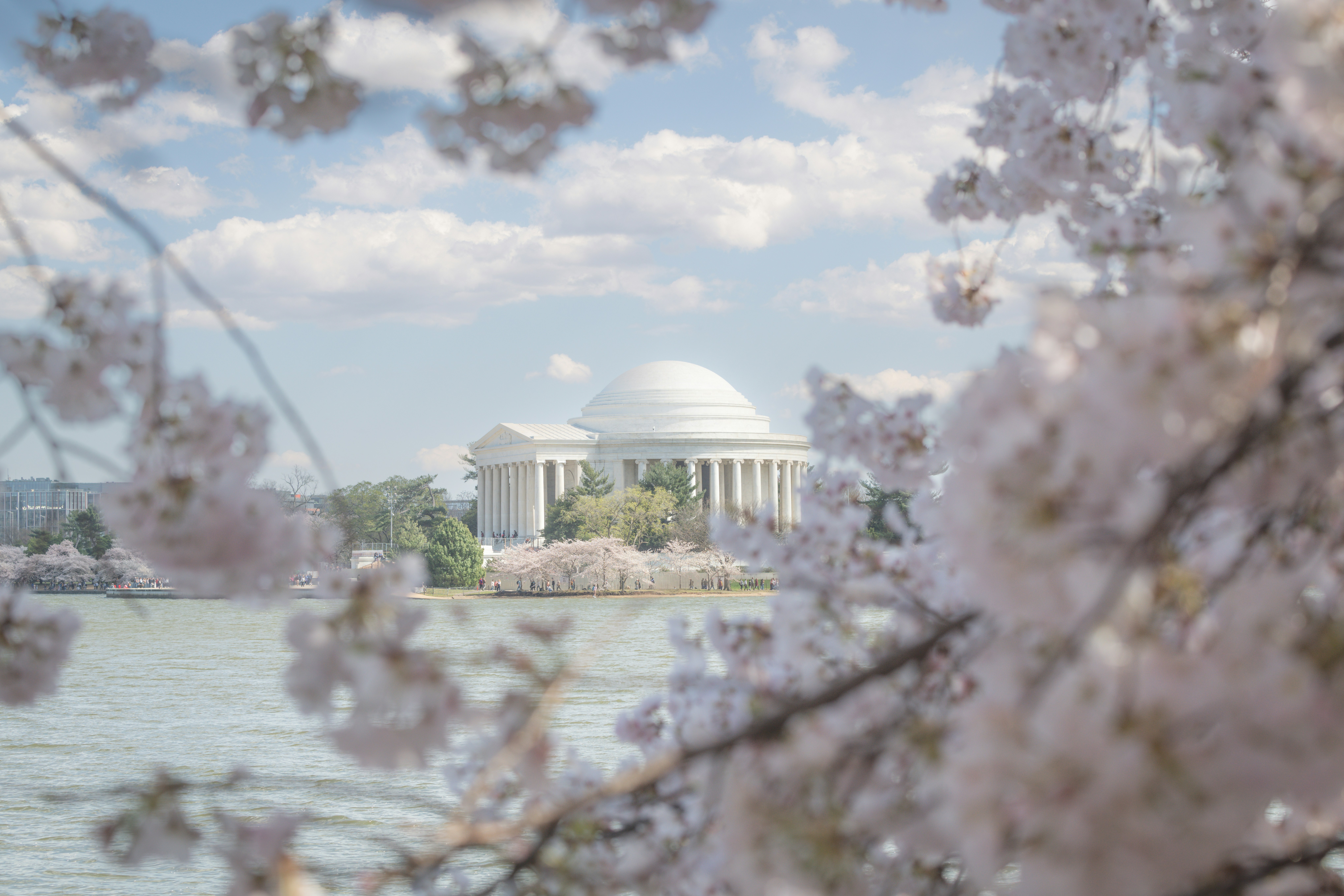 Photo by sriniunsplash