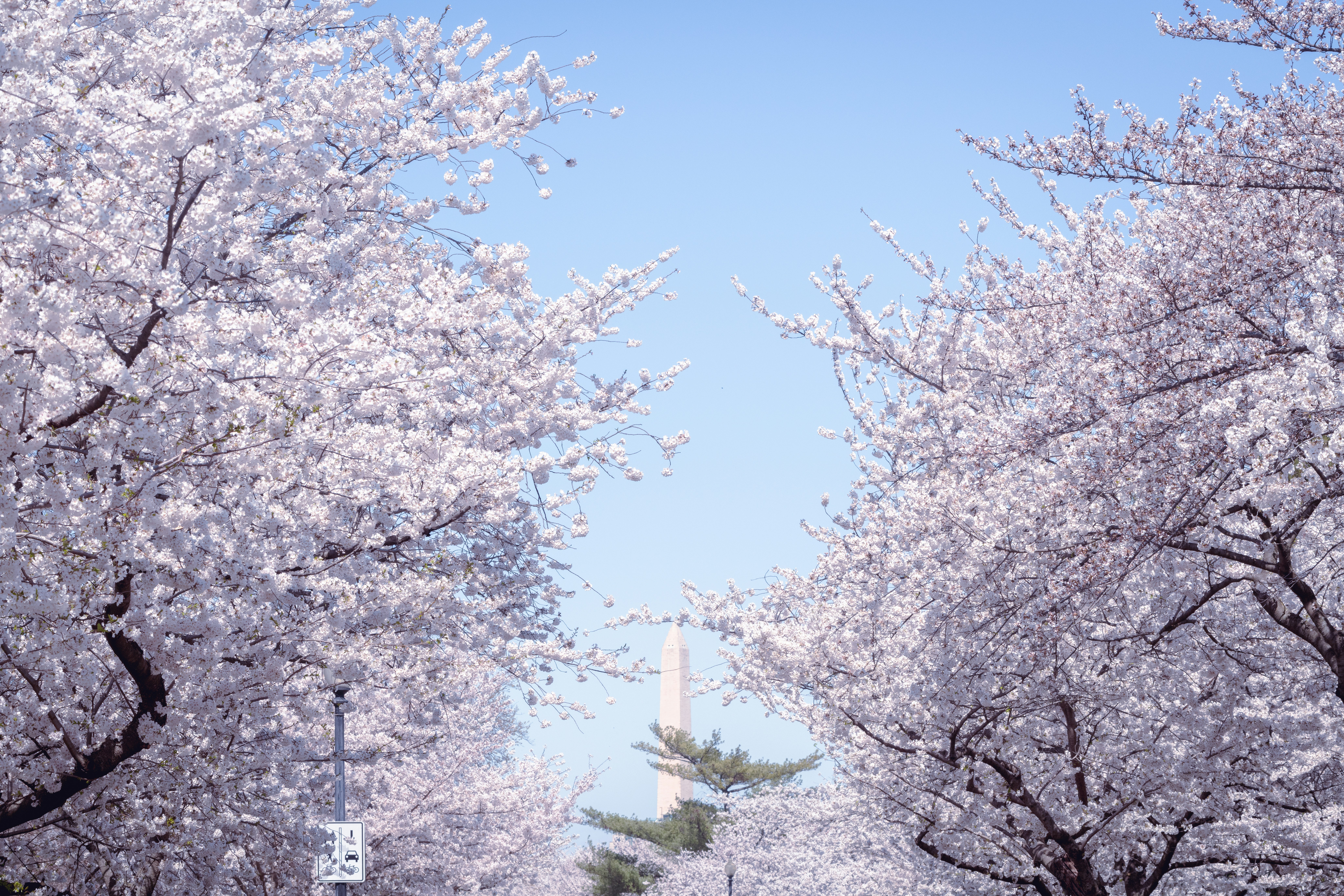 Photo by sriniunsplash