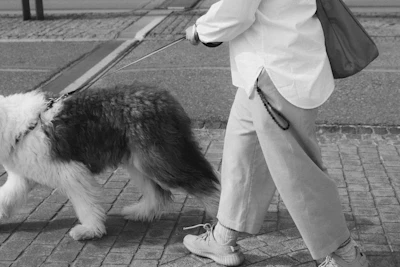 a person walking a dog on a leash