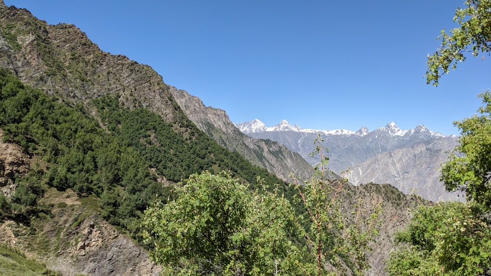 a view of a mountain range with trees and mountains in the background